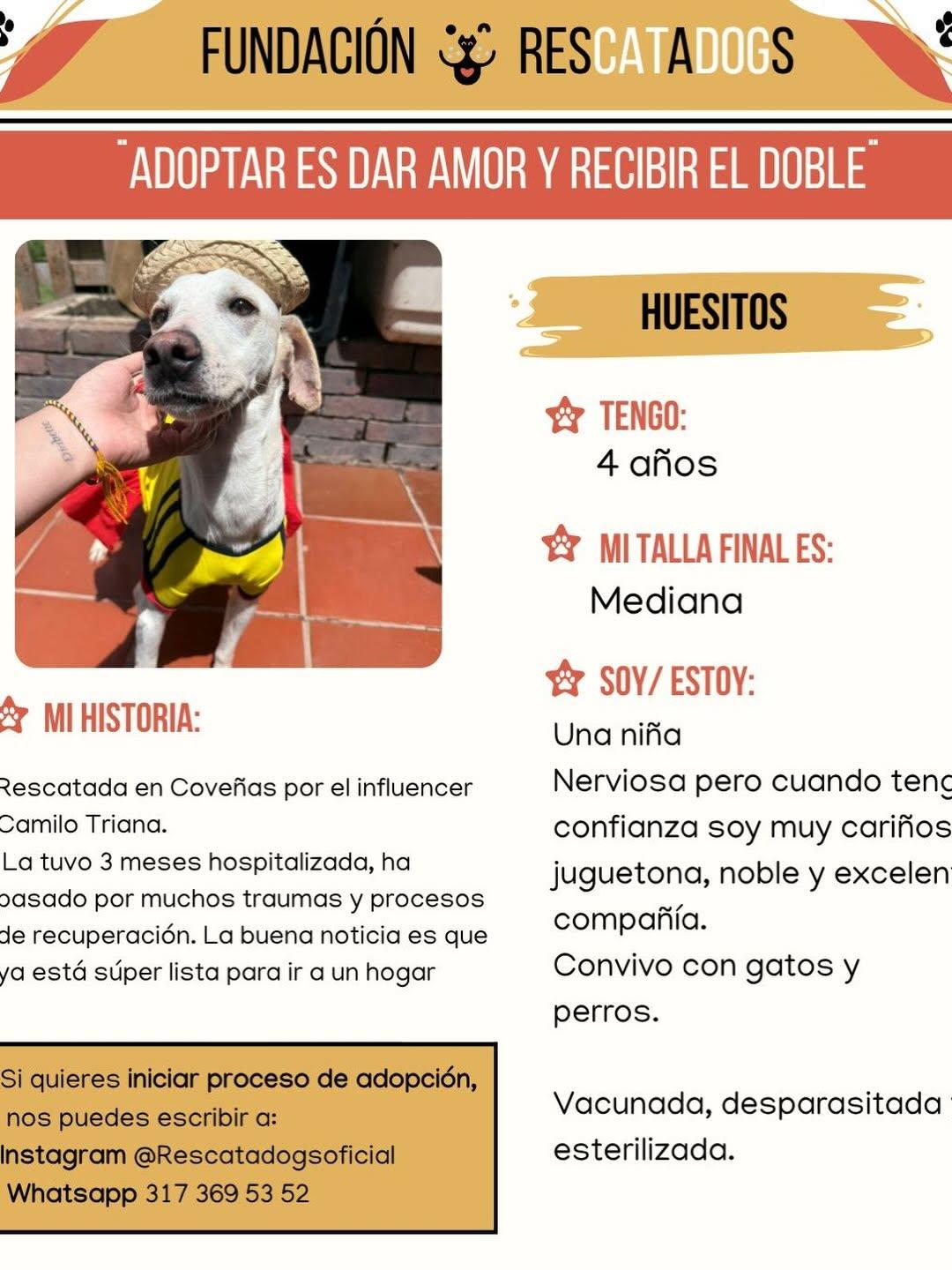 Huesitos (2/7)