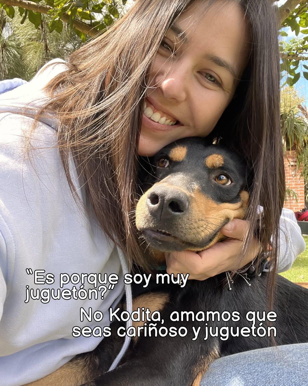Koda (5/7)