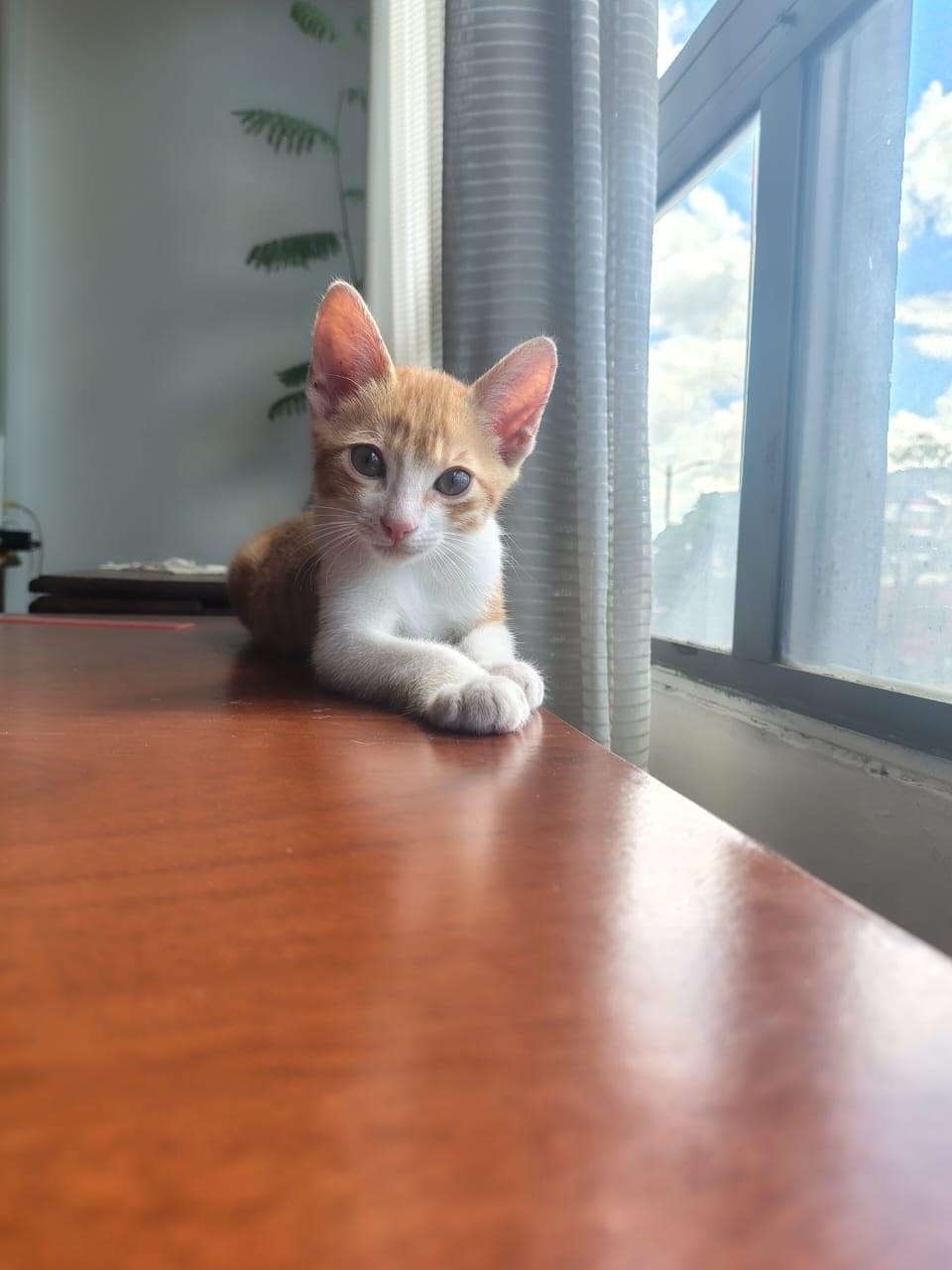 Horacio (4/13)