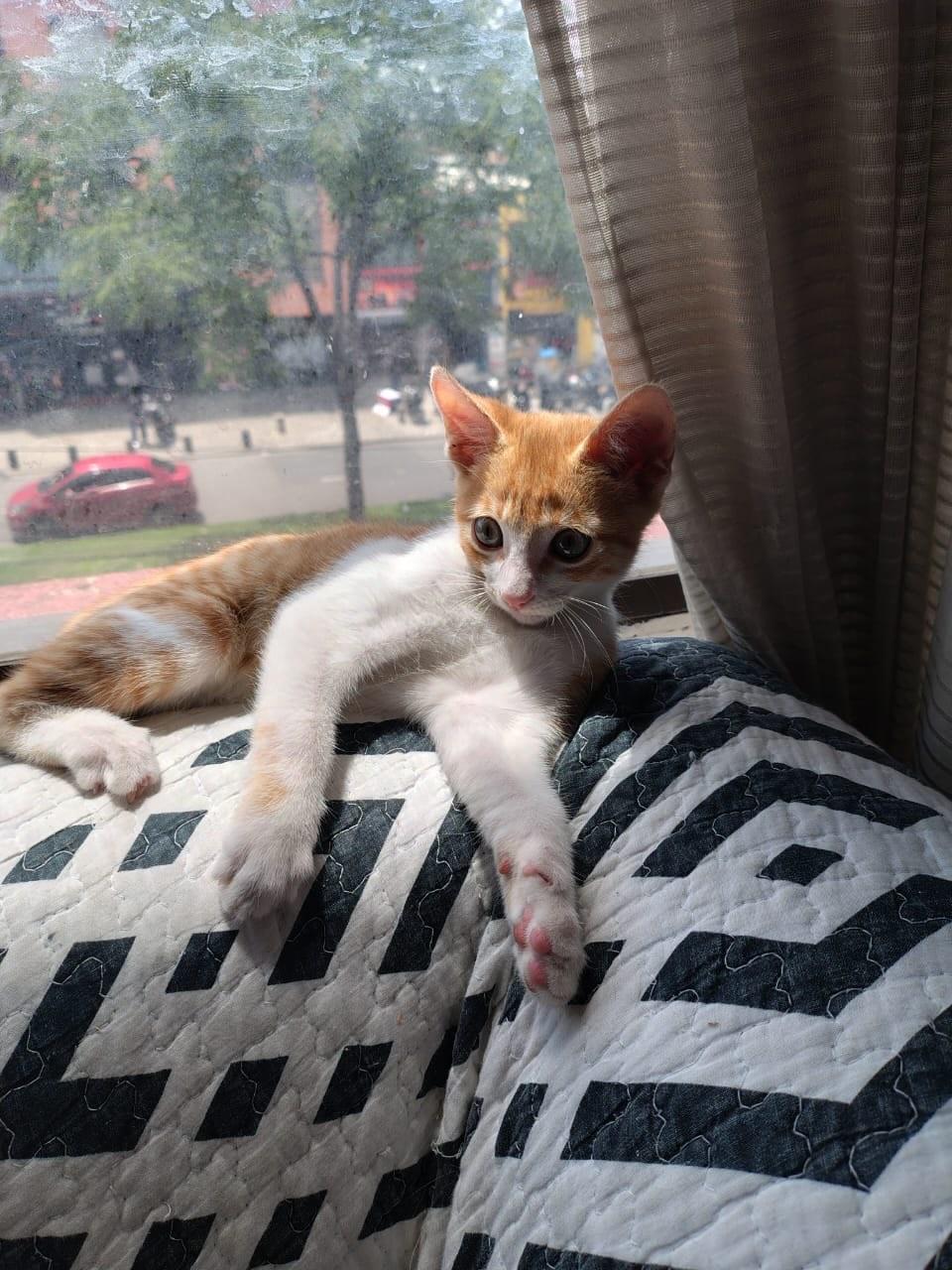 Horacio (6/13)