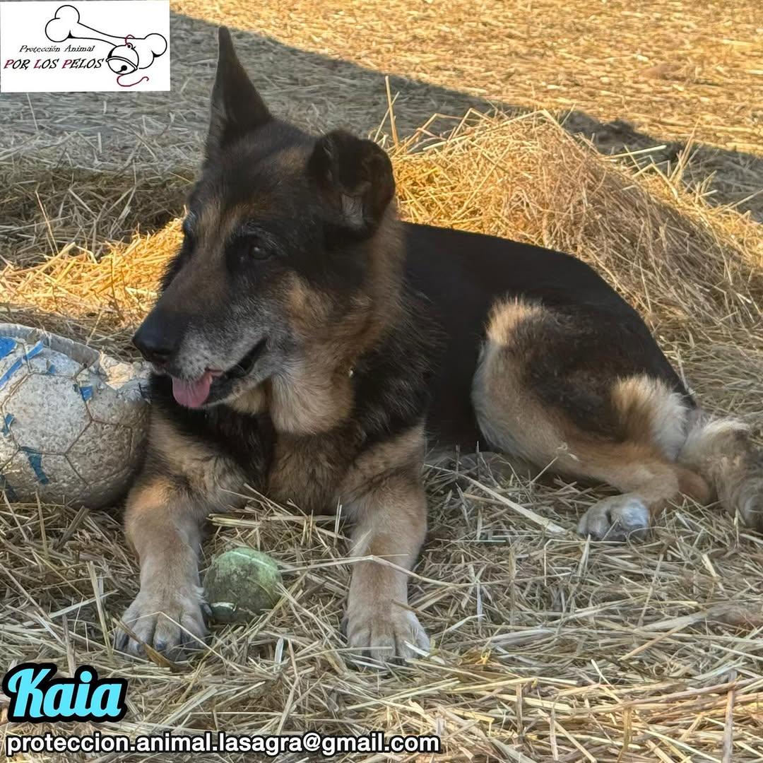 Kaia (2/7)