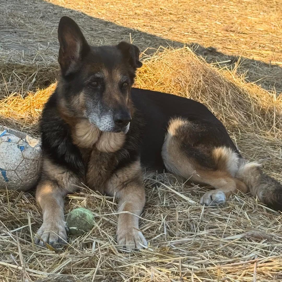 Kaia (4/7)