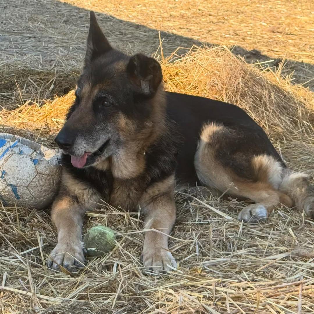 Kaia (5/7)