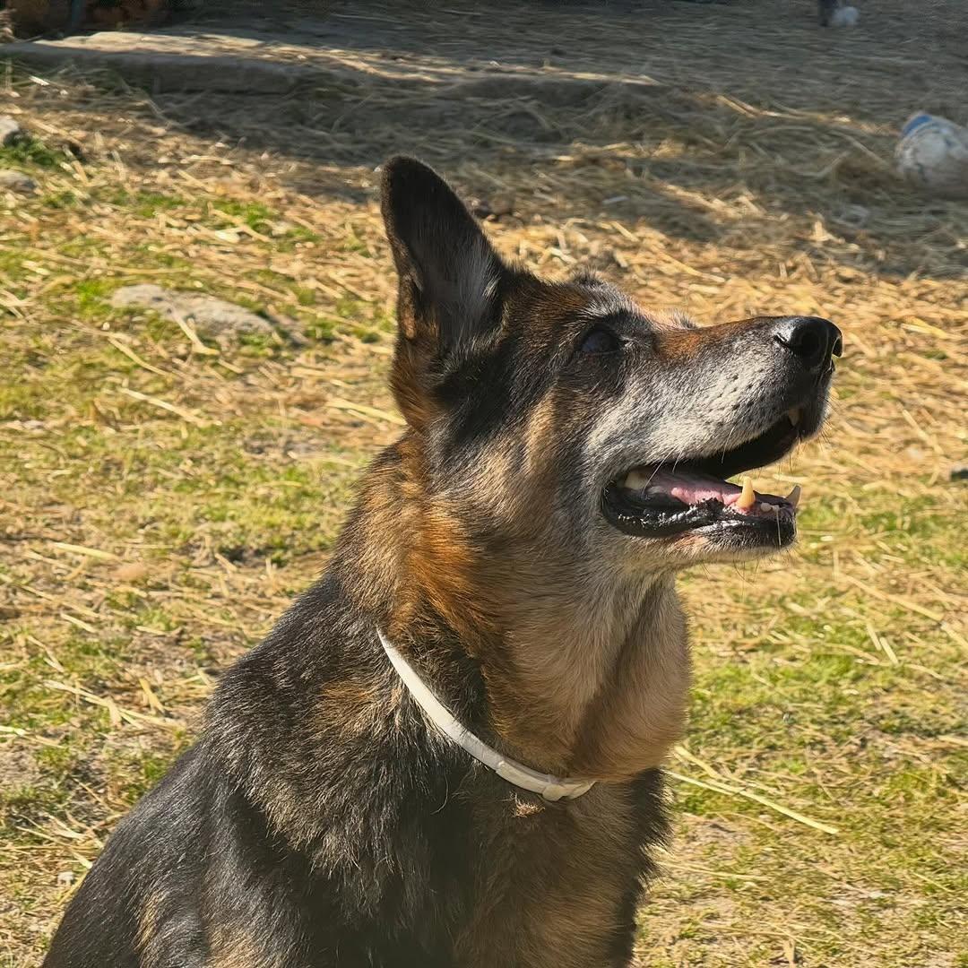Kaia (6/7)