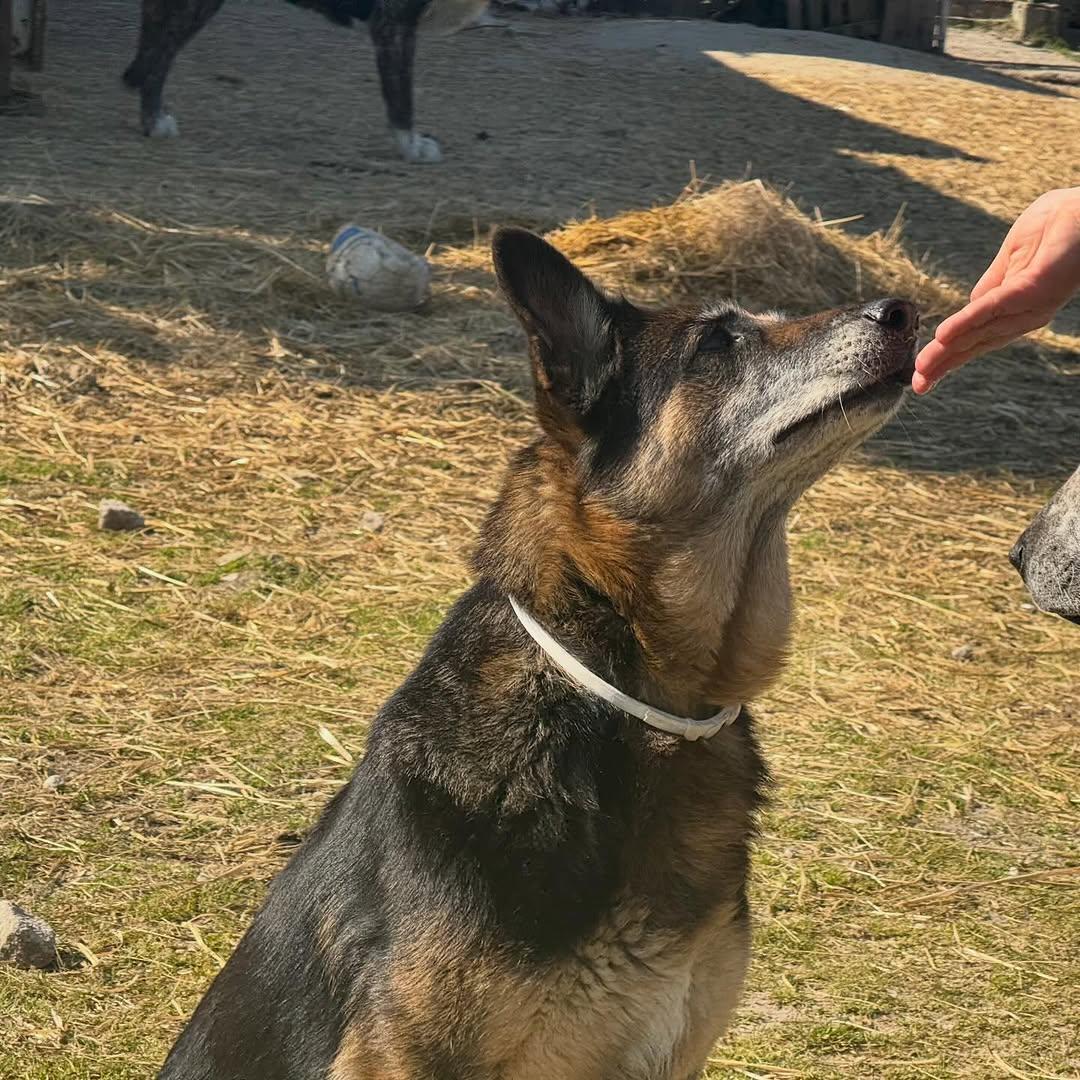 Kaia (7/7)