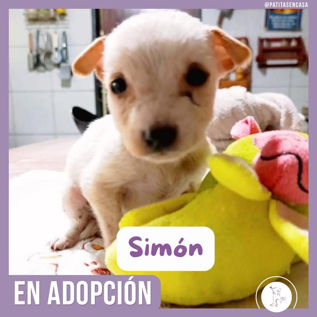 Brisa, Mateo, Nube +1 (4/4)