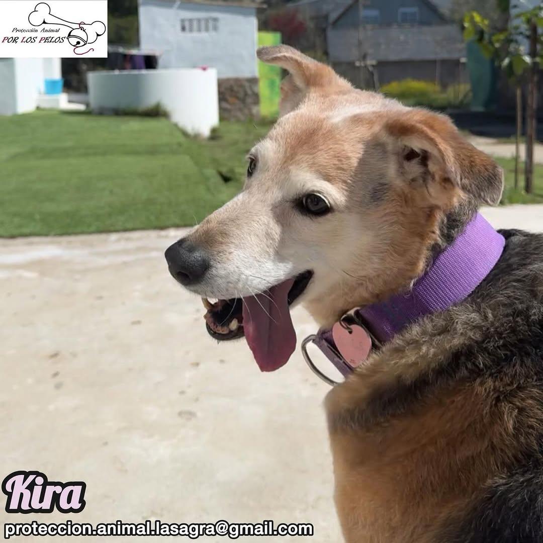 Kira (2/12)