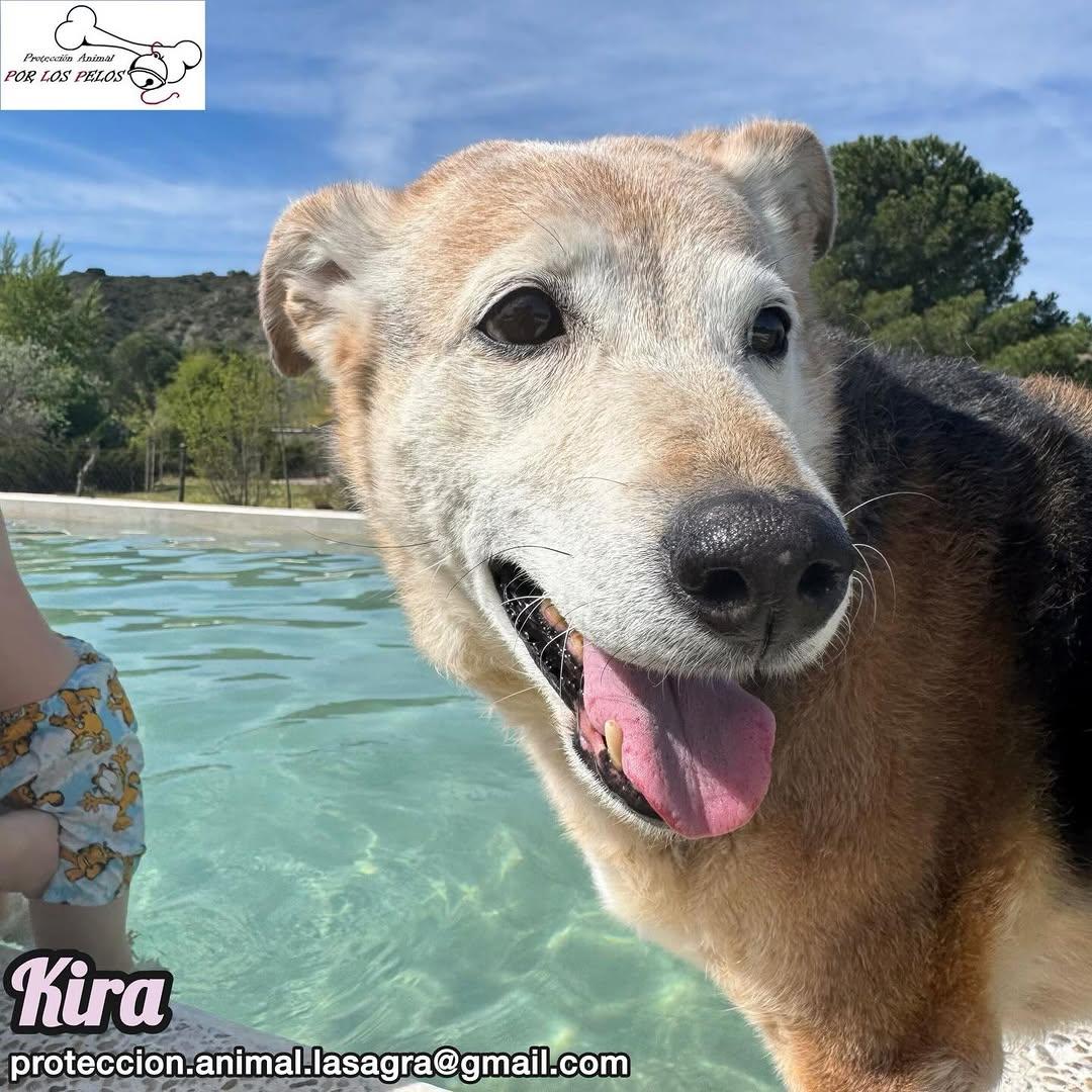 Kira (11/12)