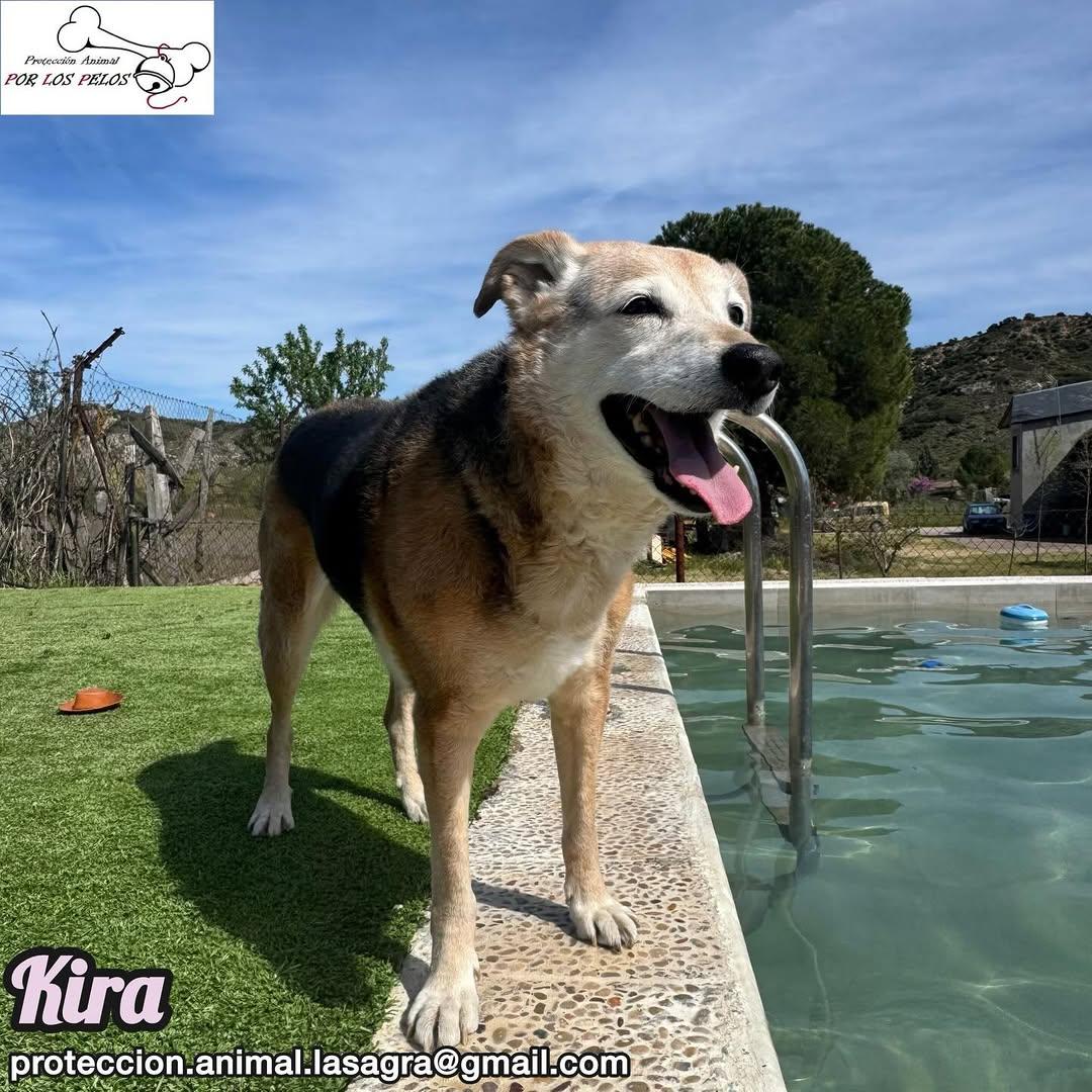 Kira (12/12)