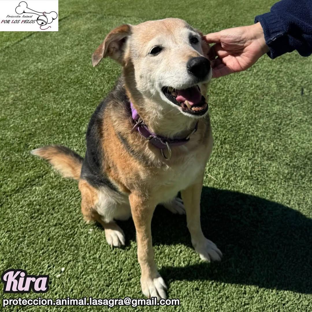 Kira (3/12)