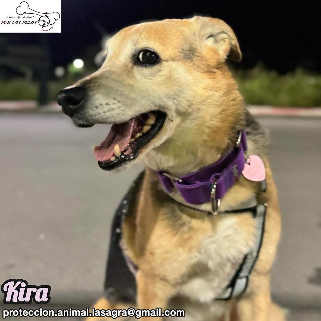 Kira (5/12)
