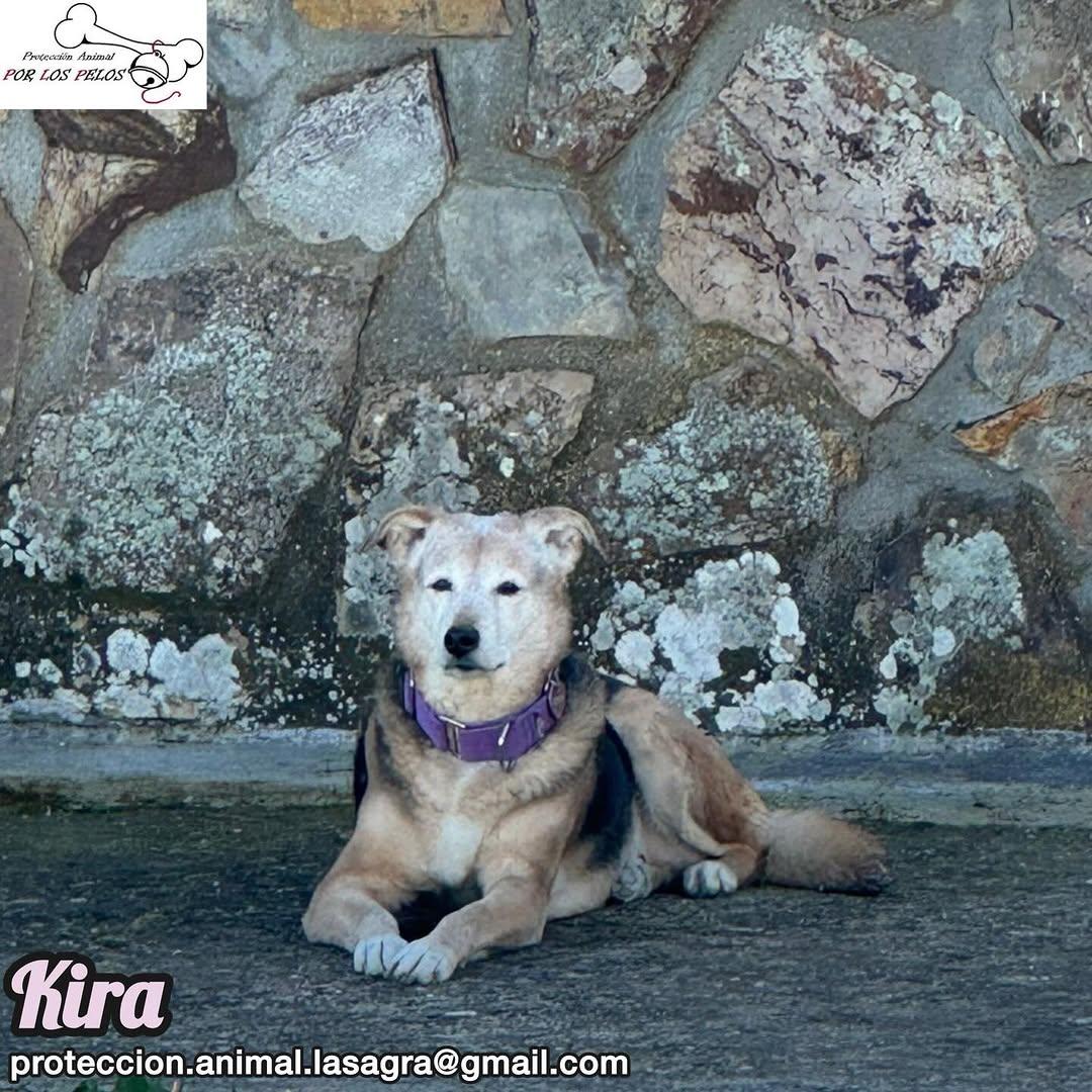 Kira (7/12)