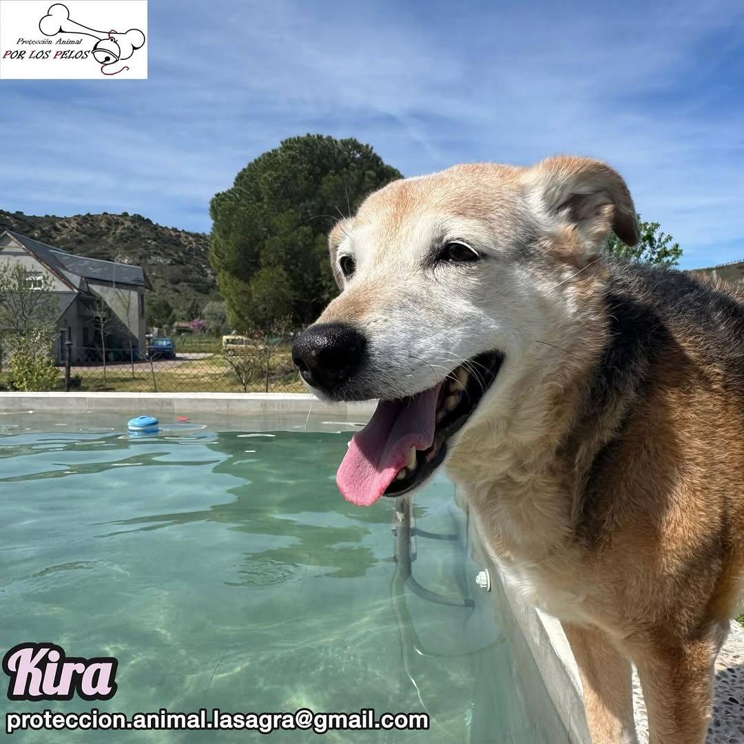 Kira (9/12)