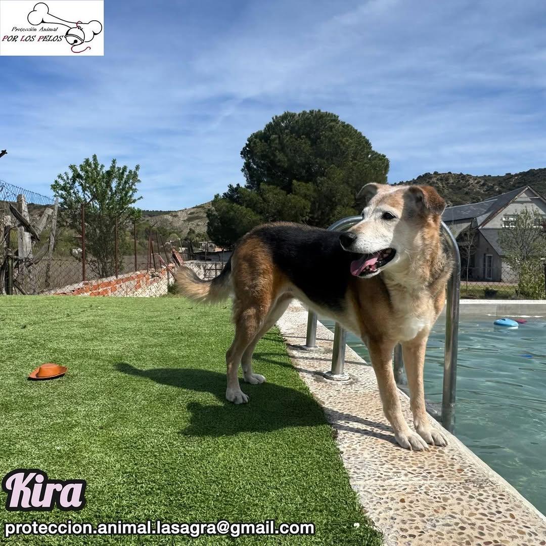 Kira (10/12)