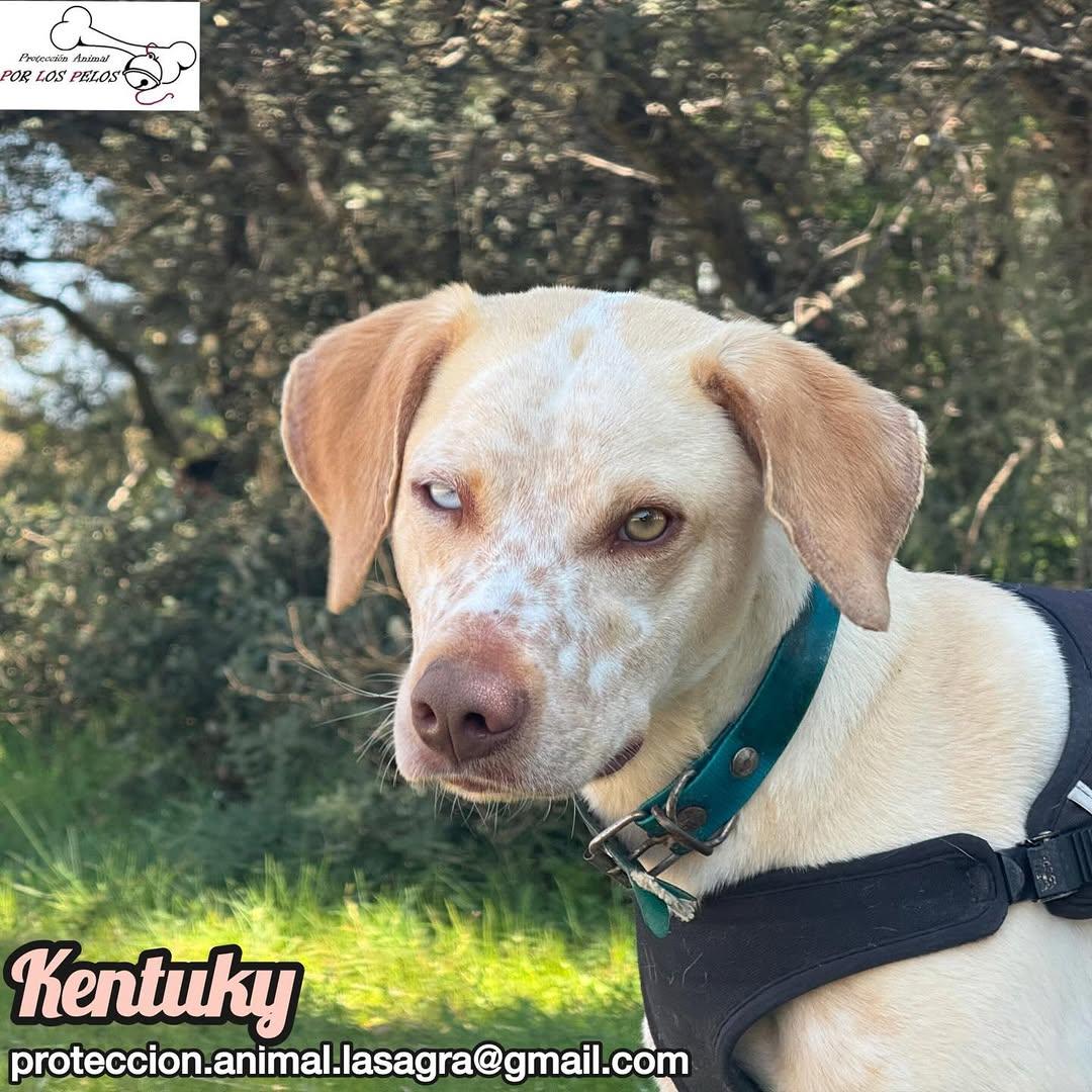 Kentuky (2/12)