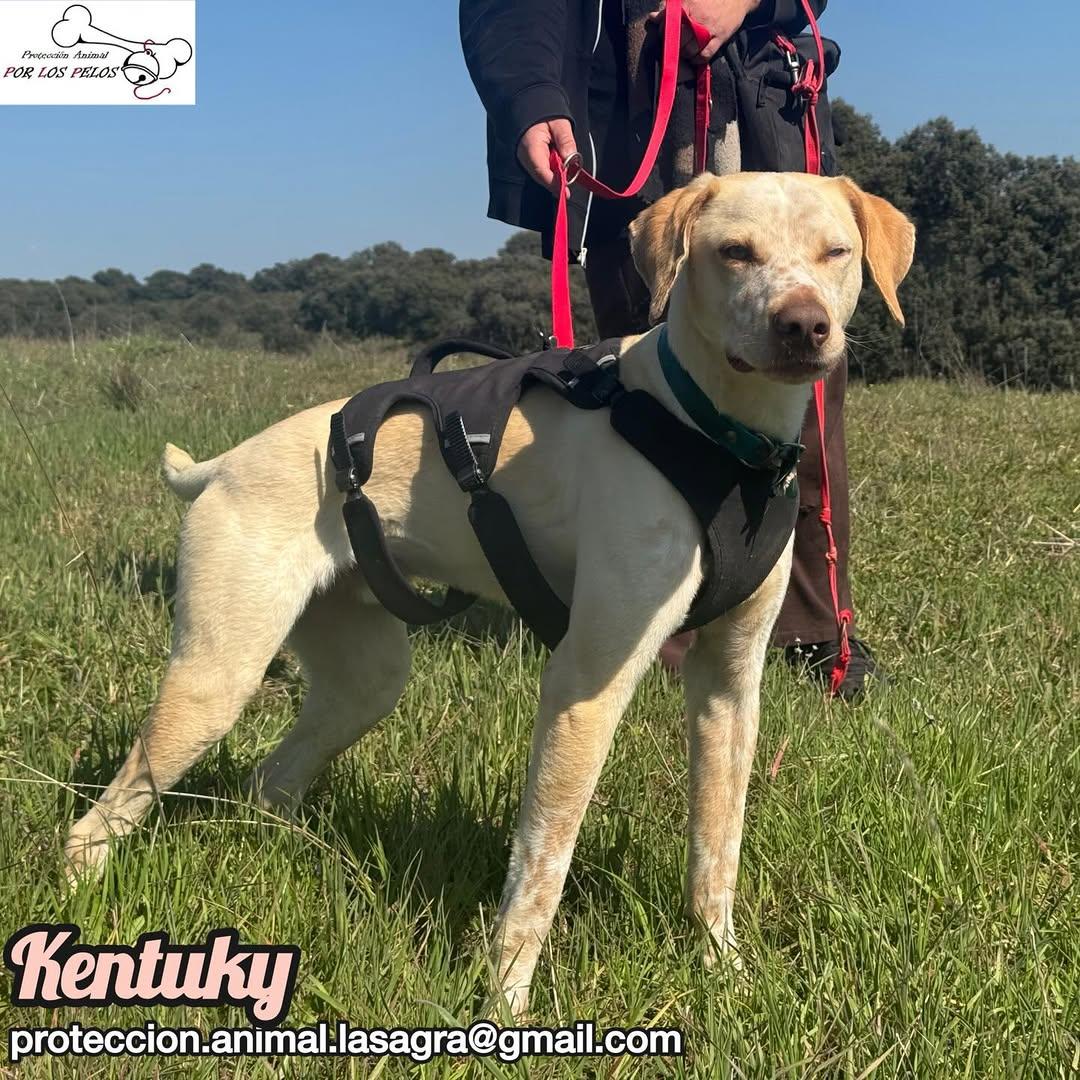 Kentuky (11/12)