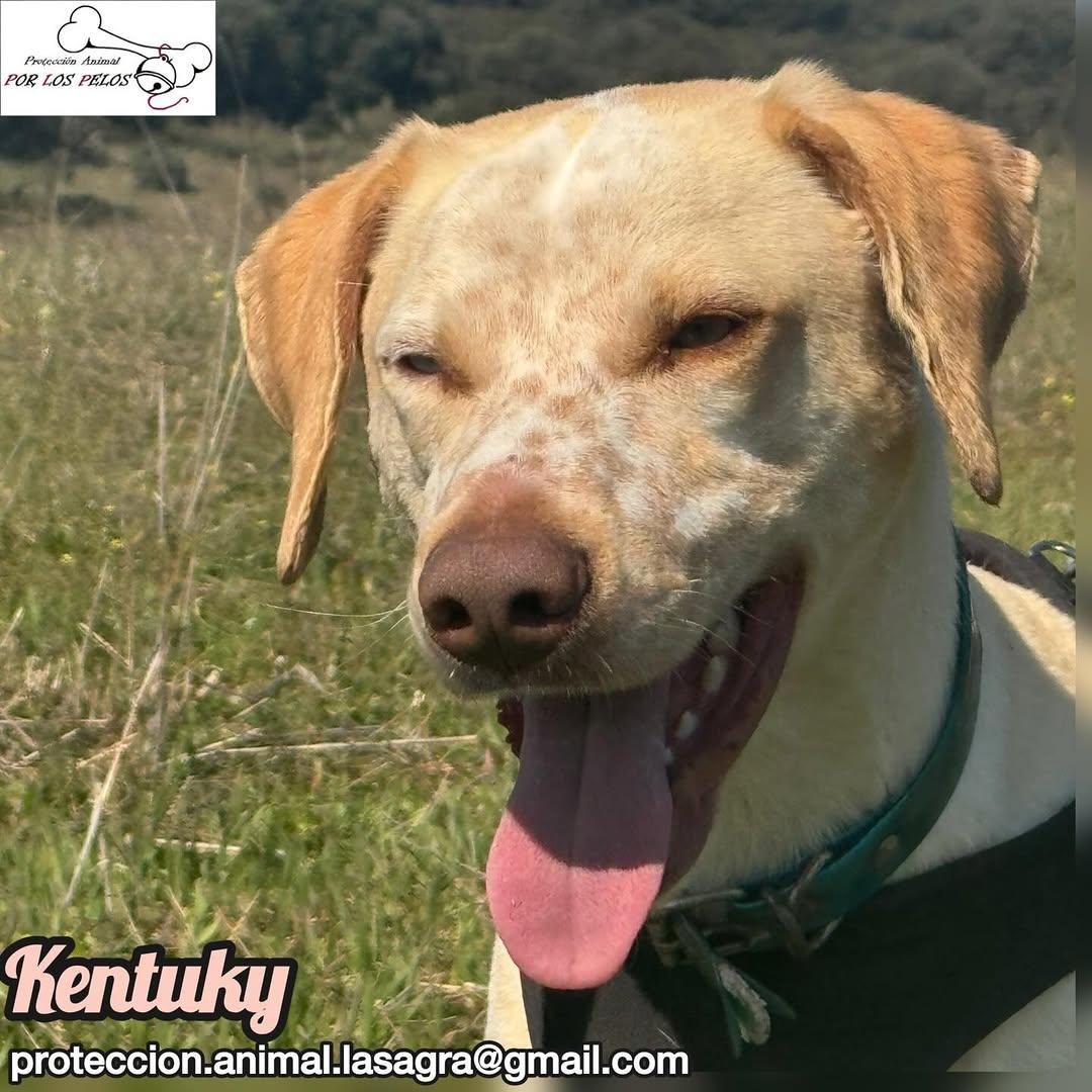 Kentuky (12/12)