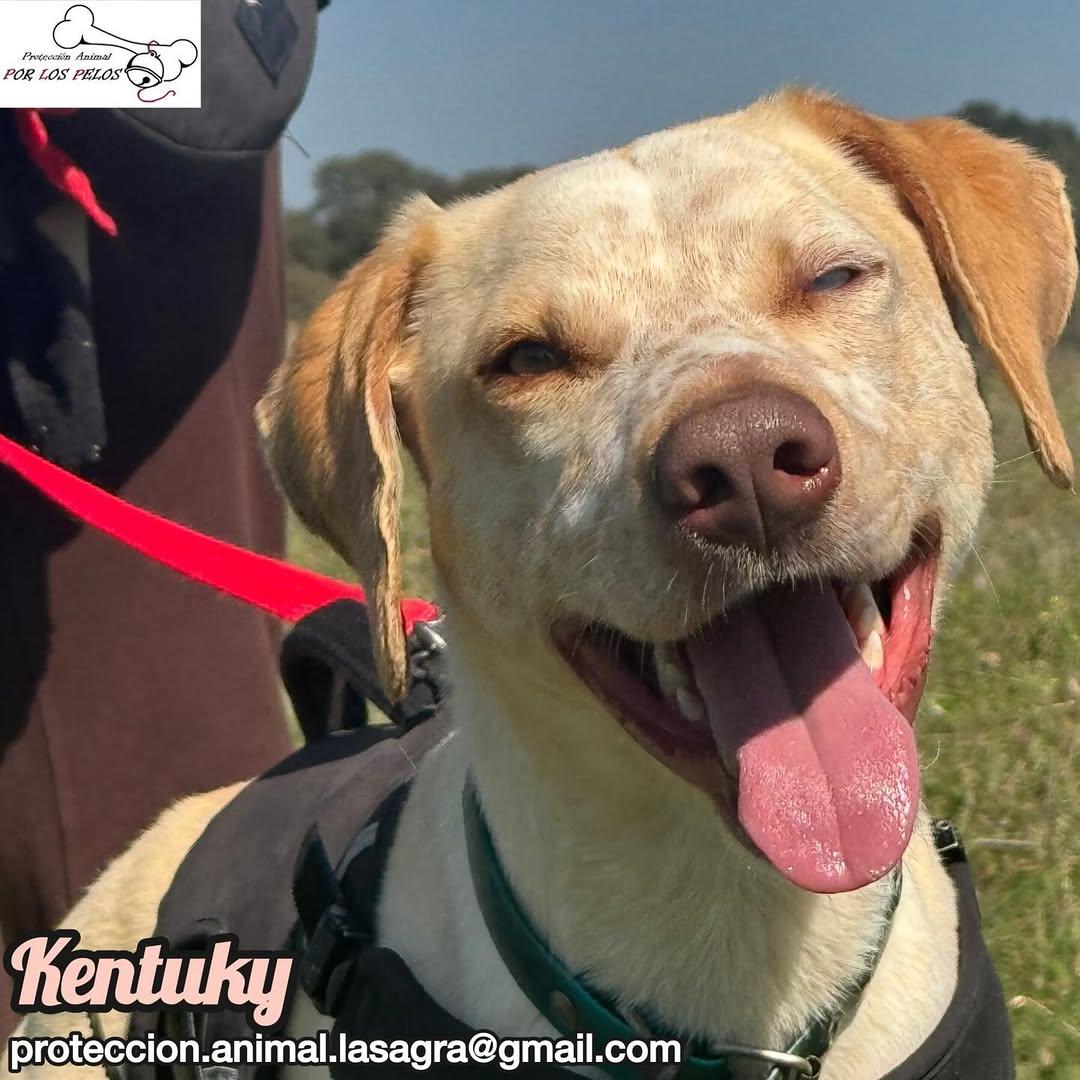 Kentuky (3/12)