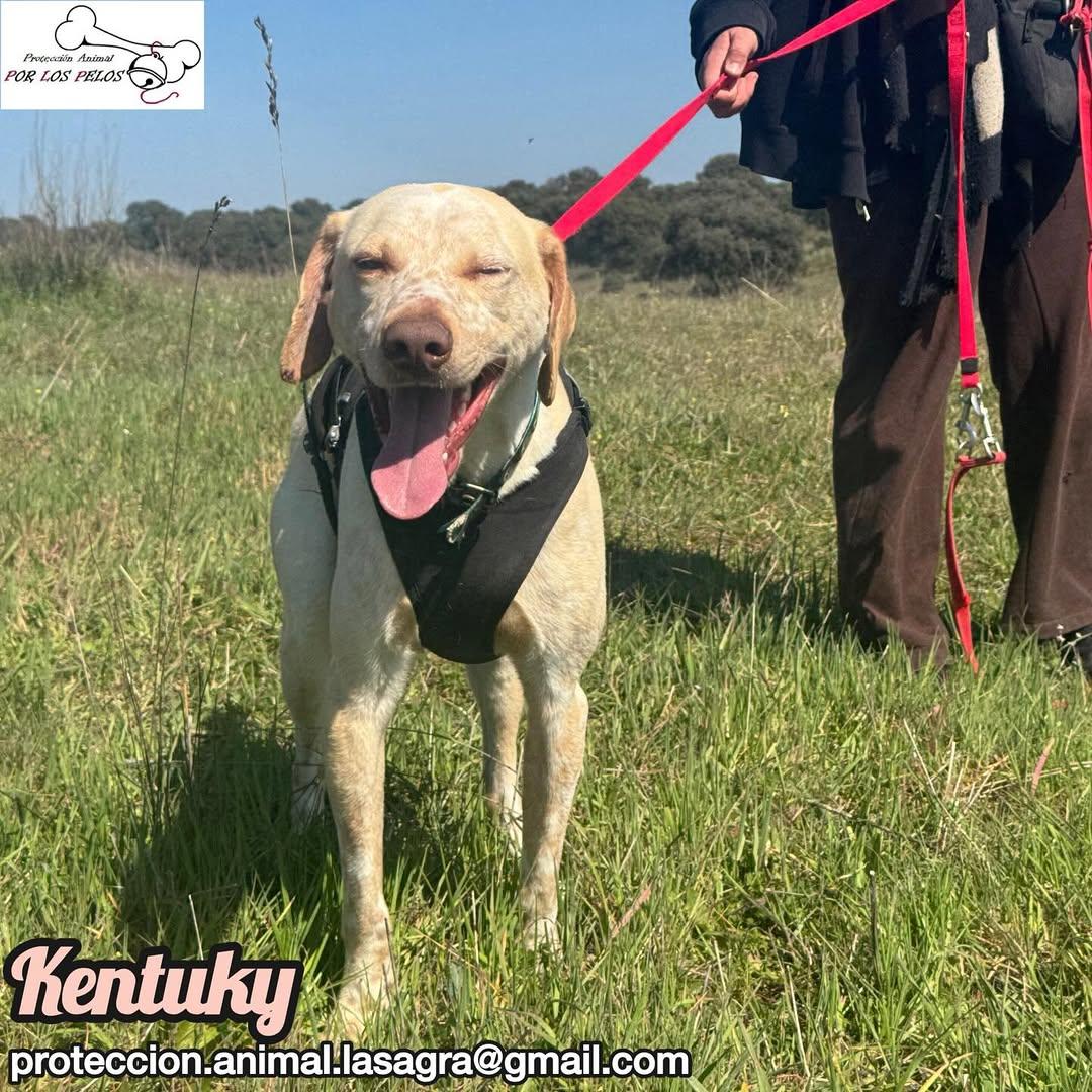 Kentuky (4/12)