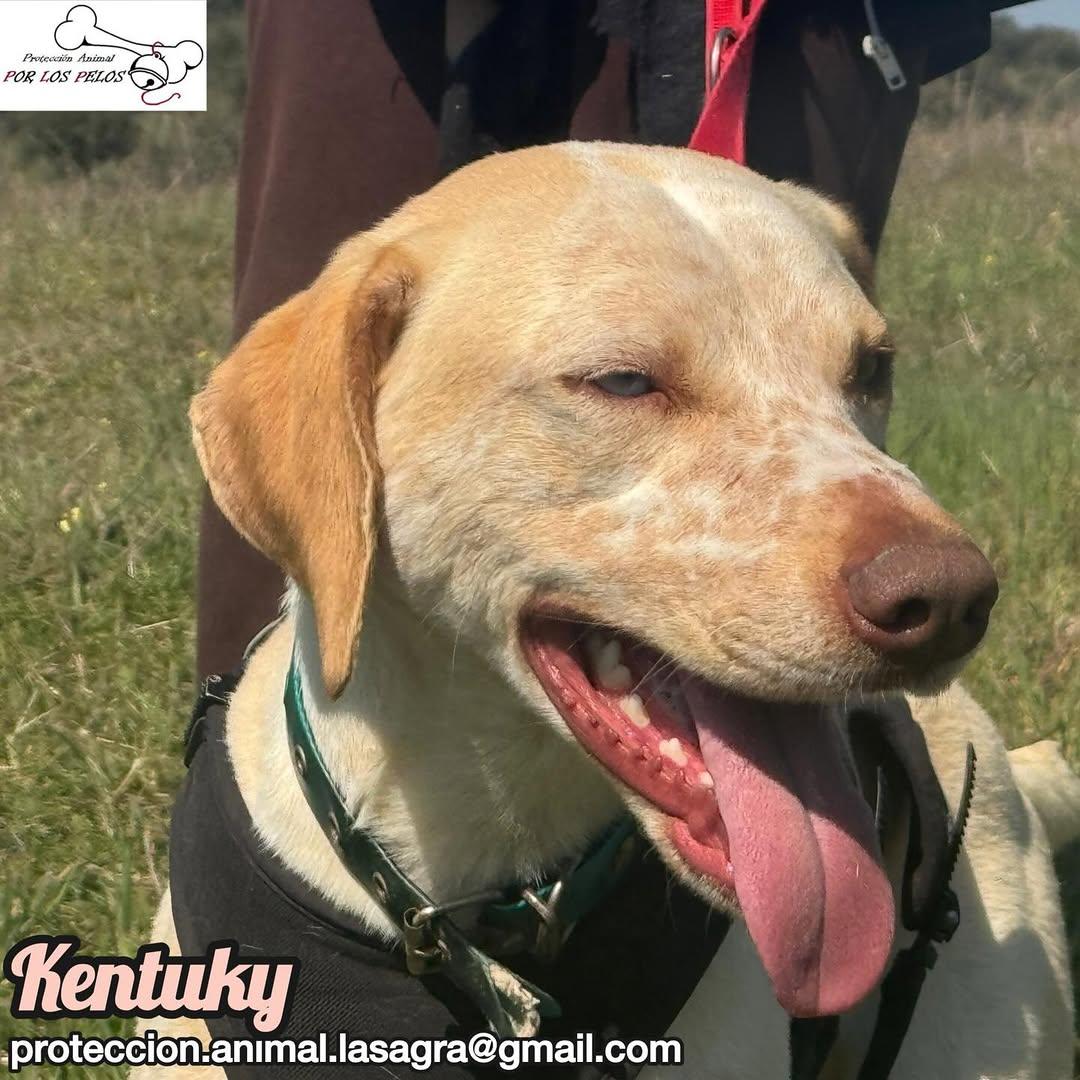 Kentuky (5/12)