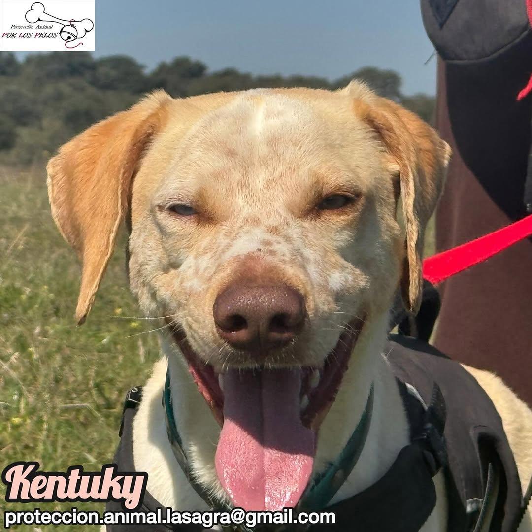 Kentuky (6/12)