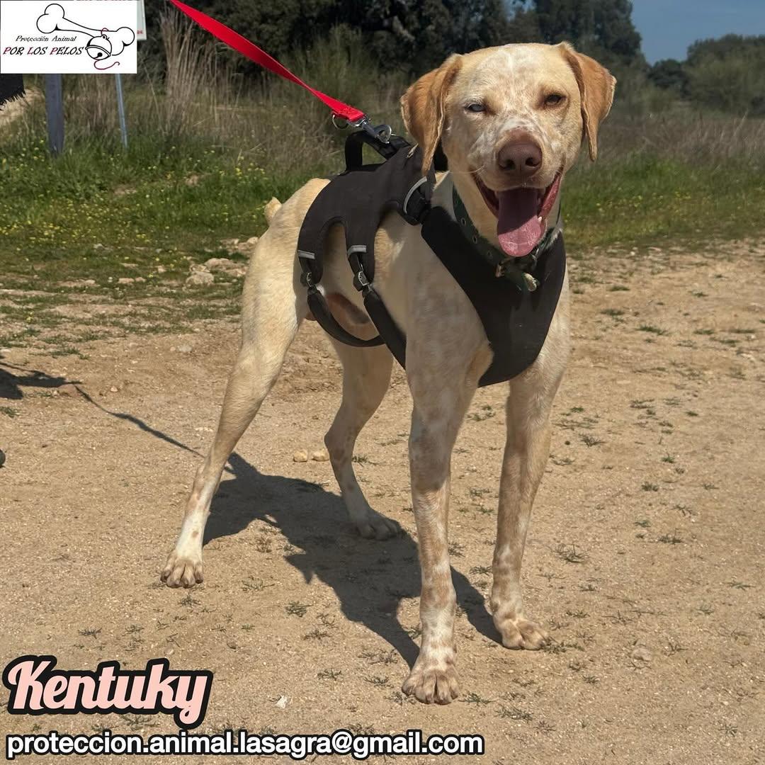 Kentuky (7/12)