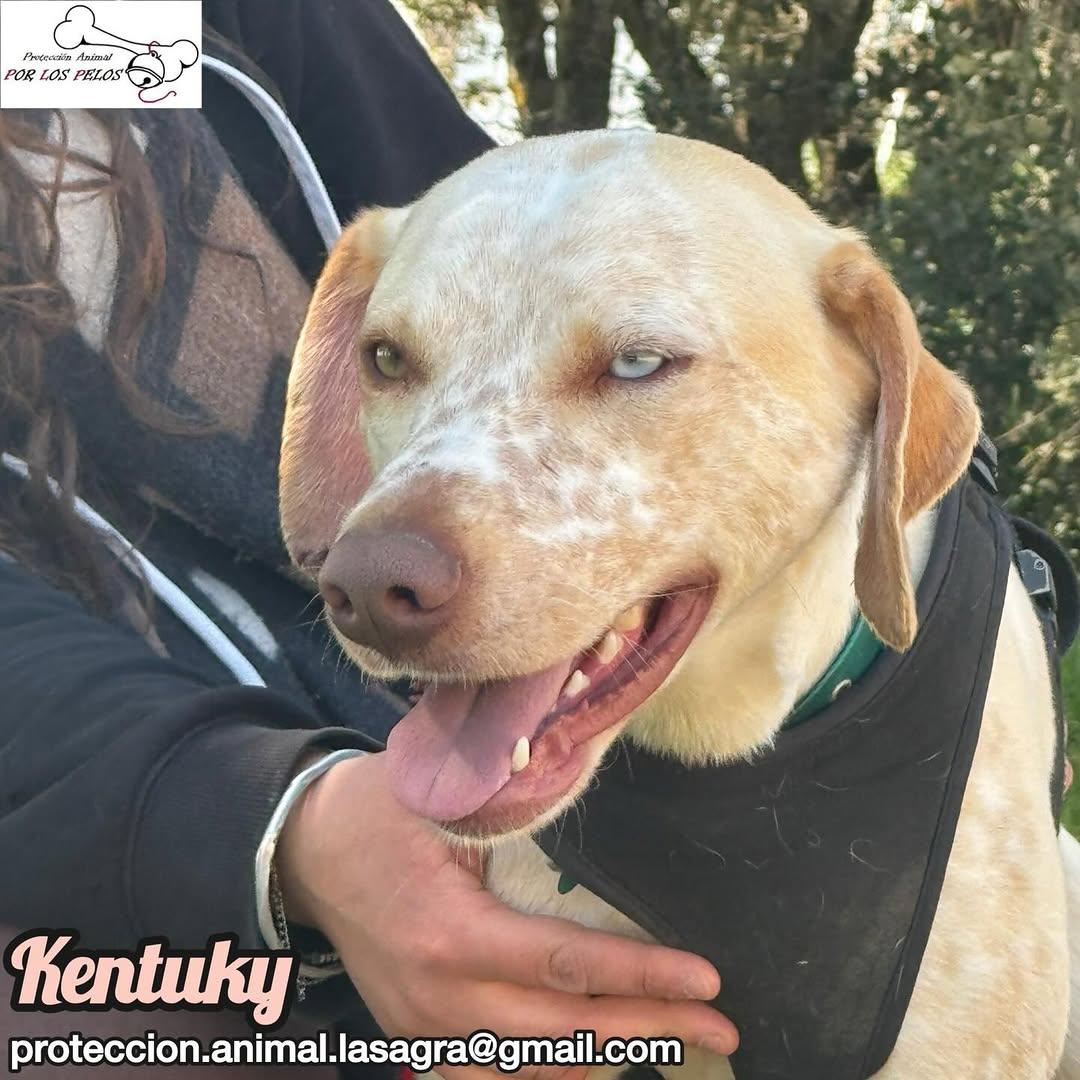 Kentuky (8/12)