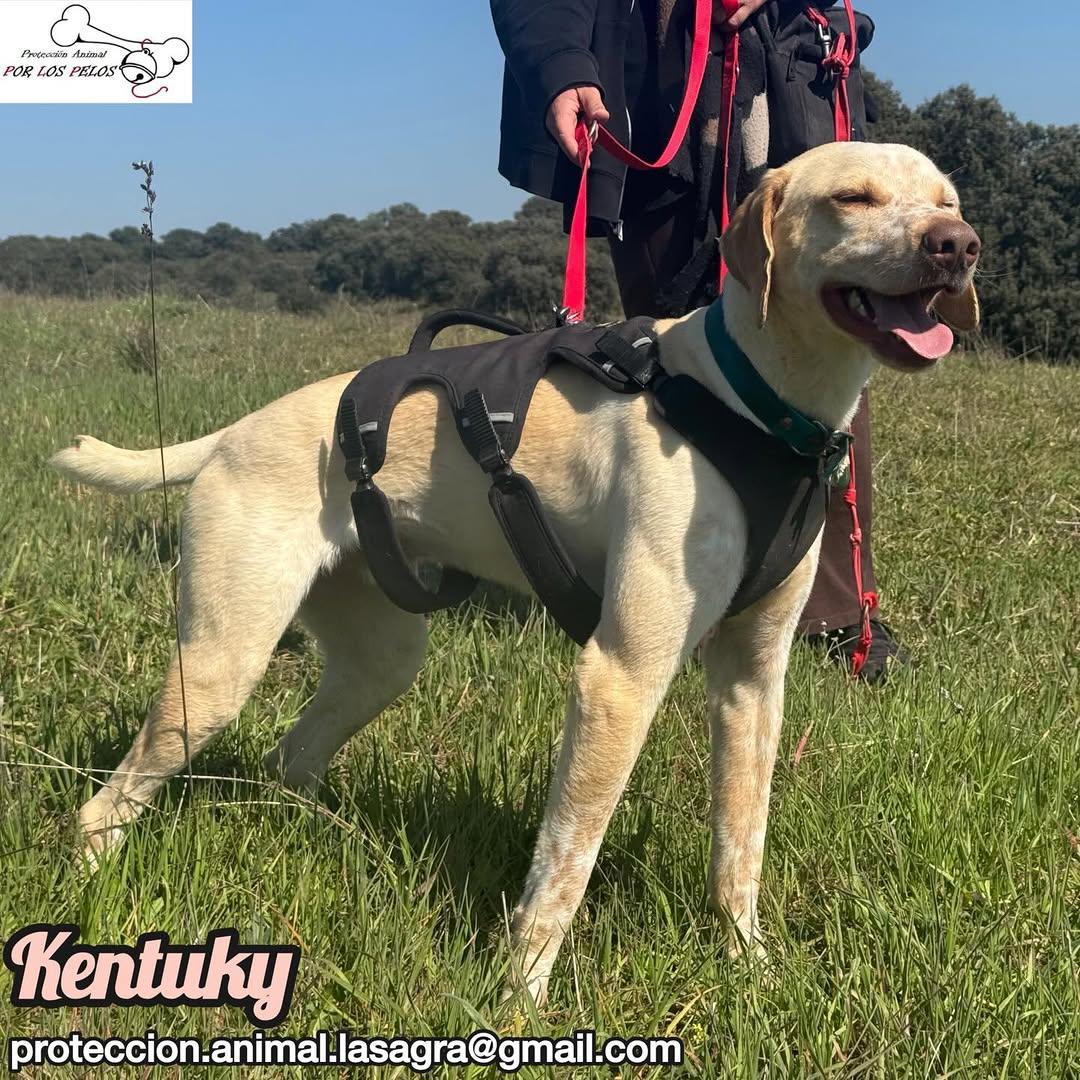 Kentuky (9/12)