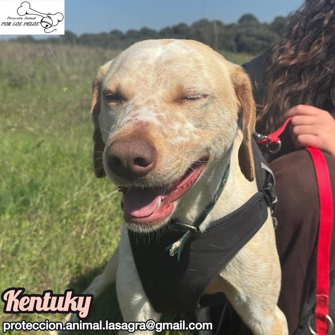 Kentuky (10/12)