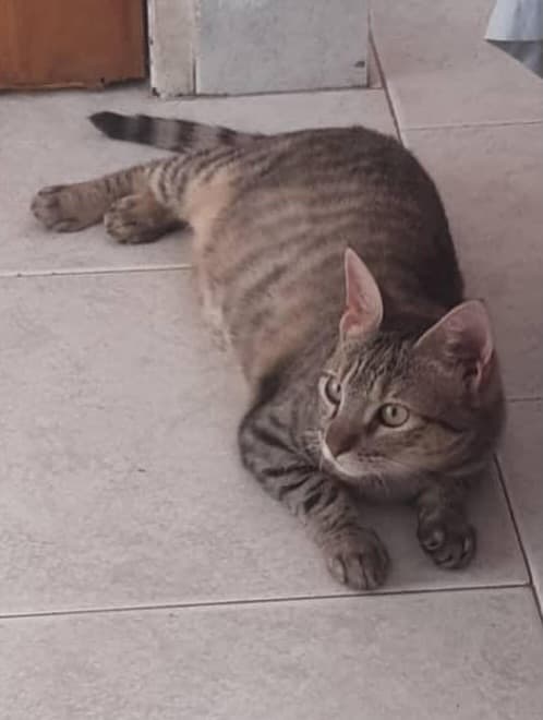 Silvestre, Edén, Luca (19/19)