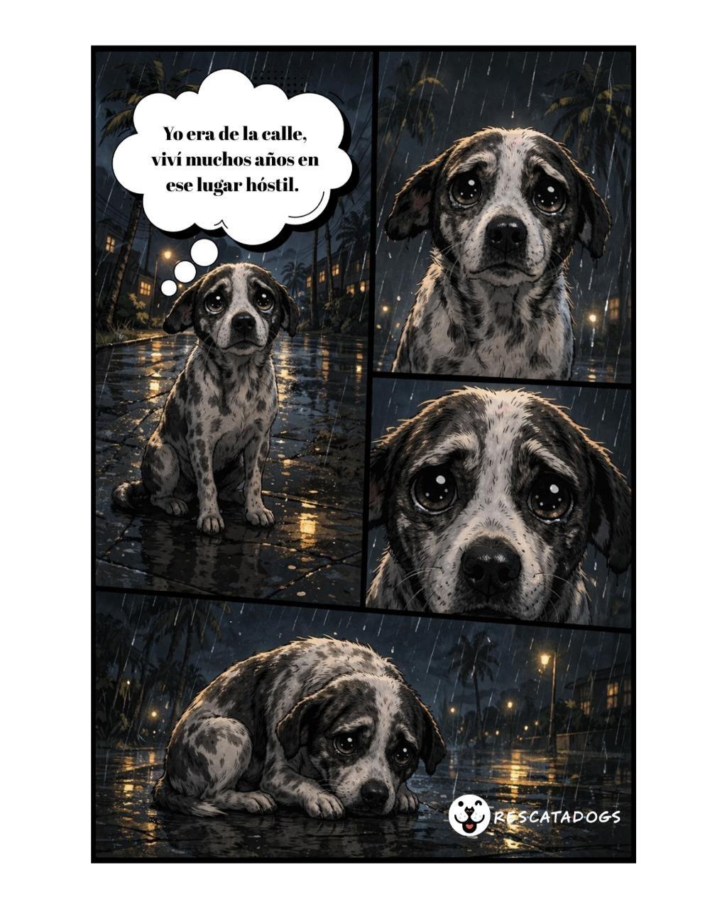 Alegría (1/20)