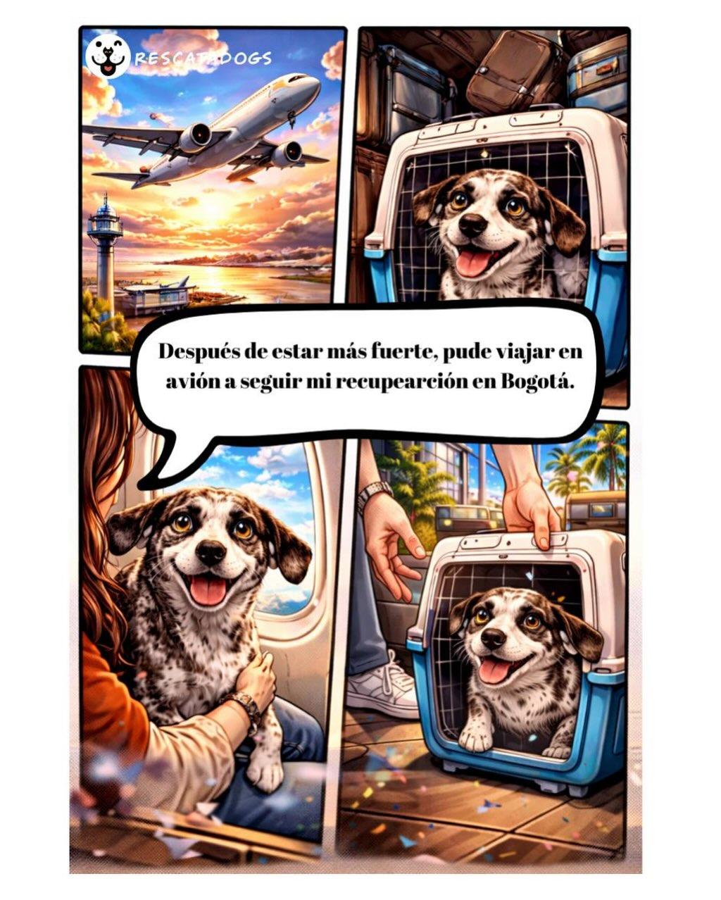 Alegría (7/20)