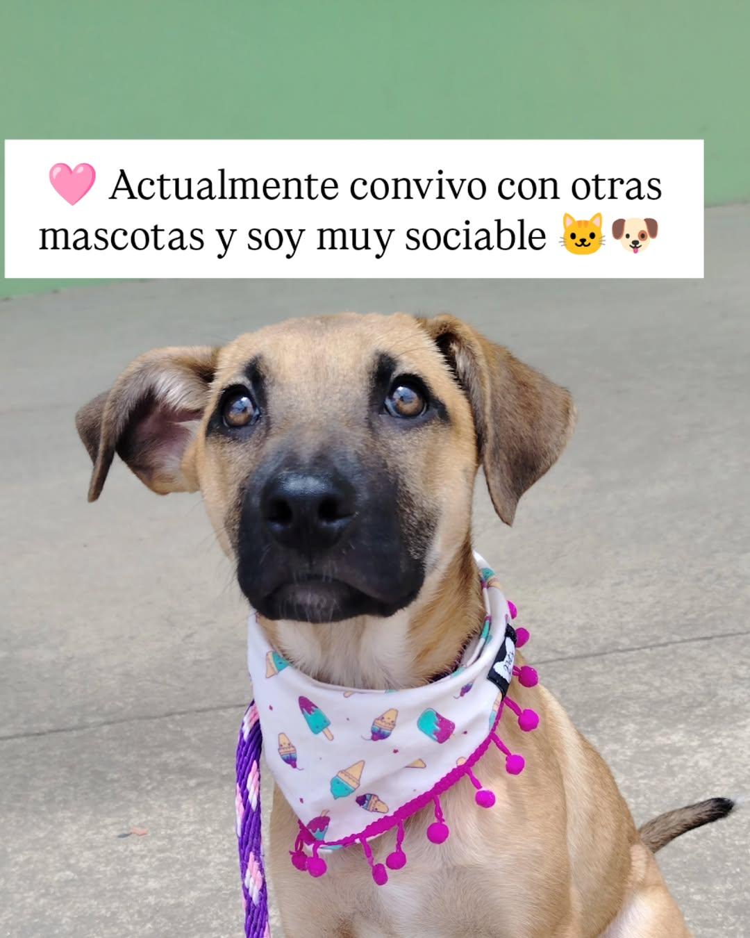 Lua (3/5)