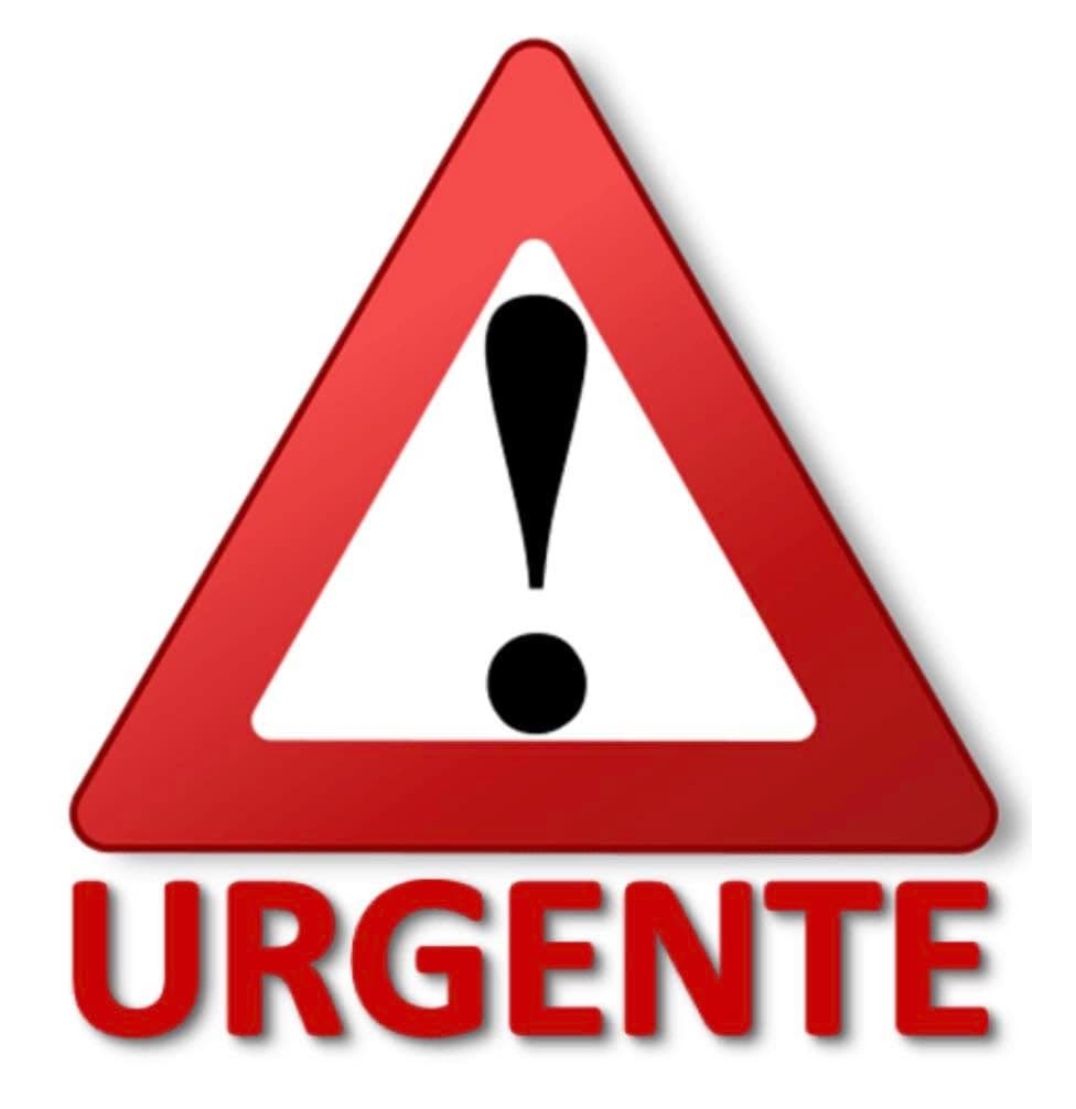 Sin nombre