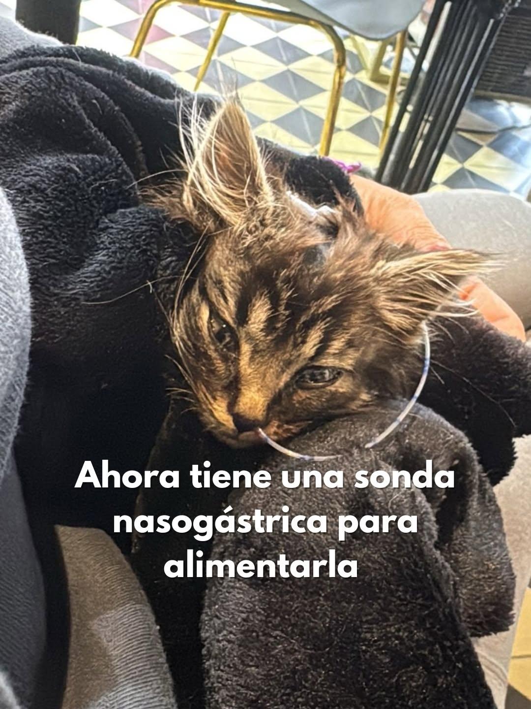 Sin nombre (8/10)