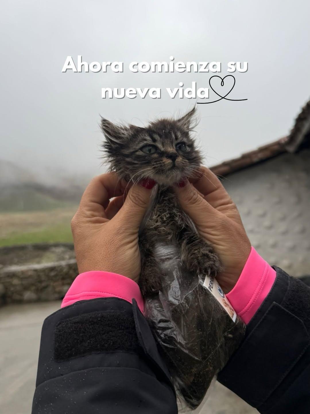 Sin nombre (10/10)