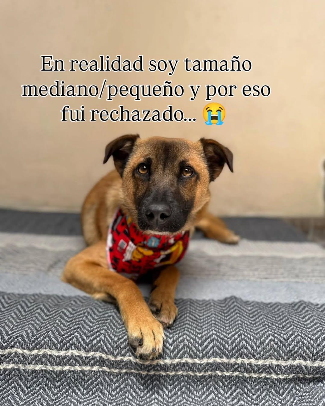Juancho (2/7)