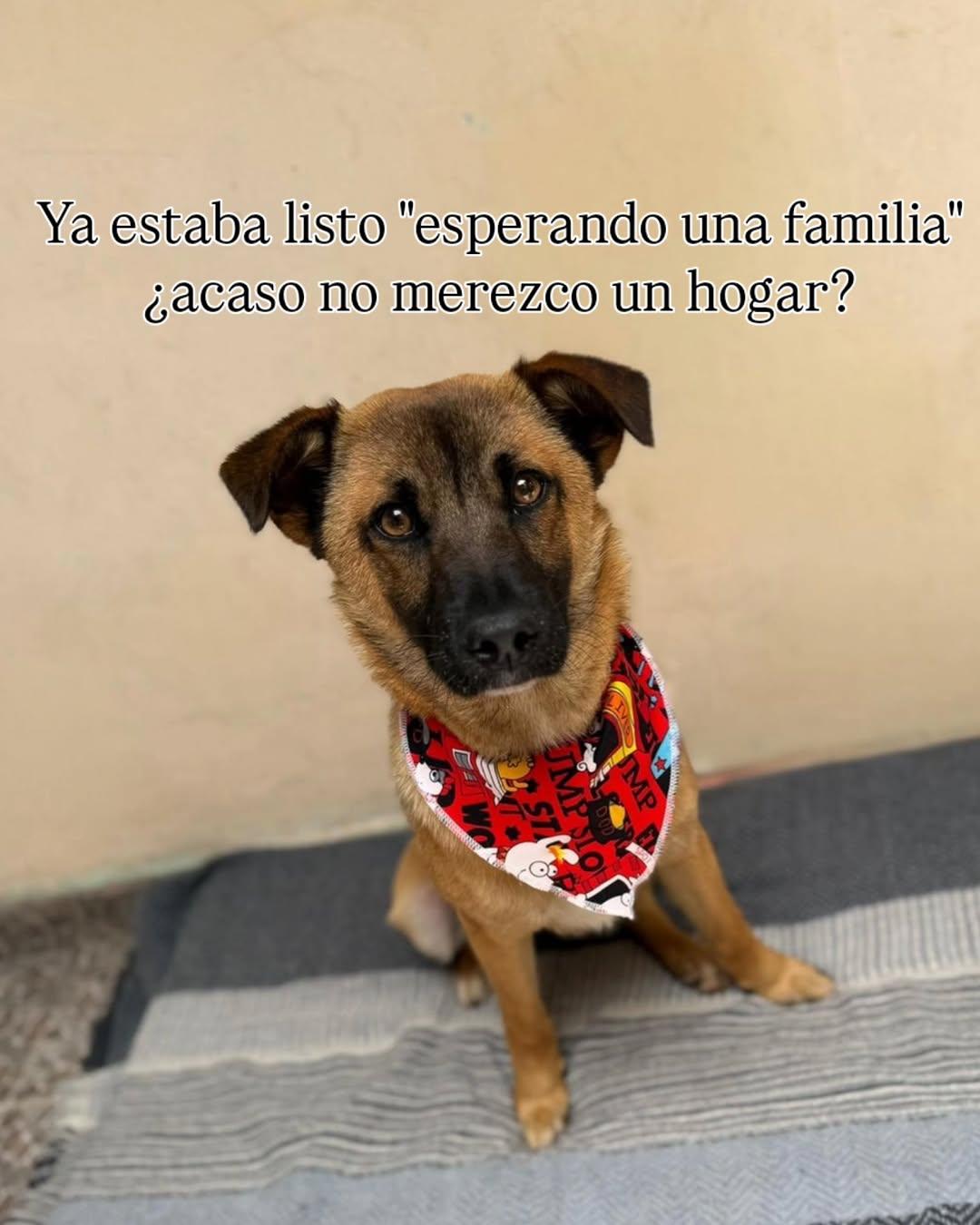 Juancho (4/7)
