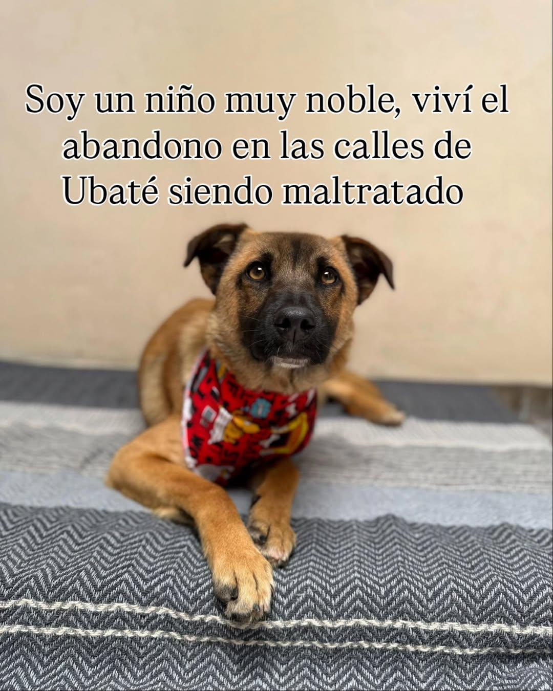 Juancho (5/7)