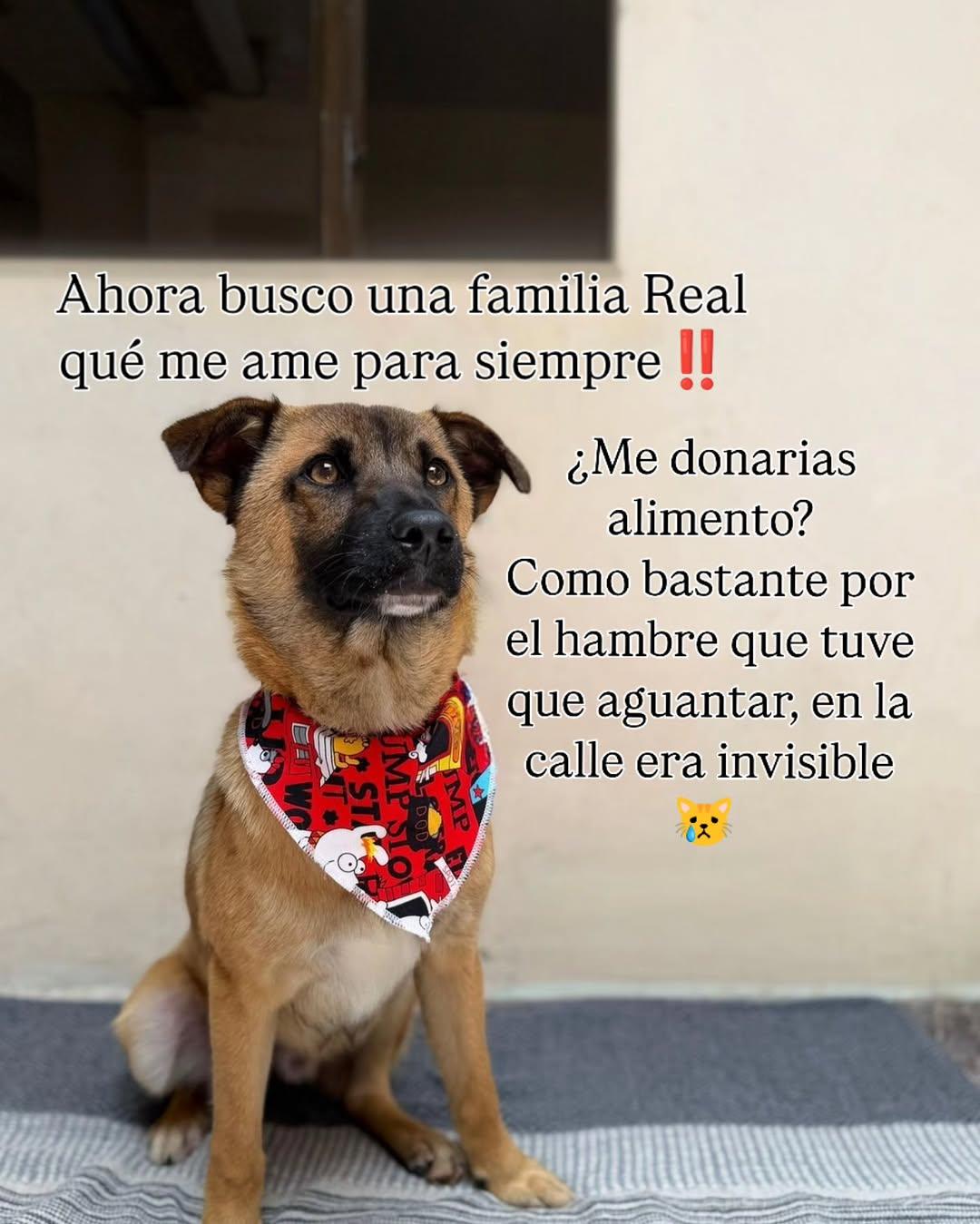 Juancho (6/7)