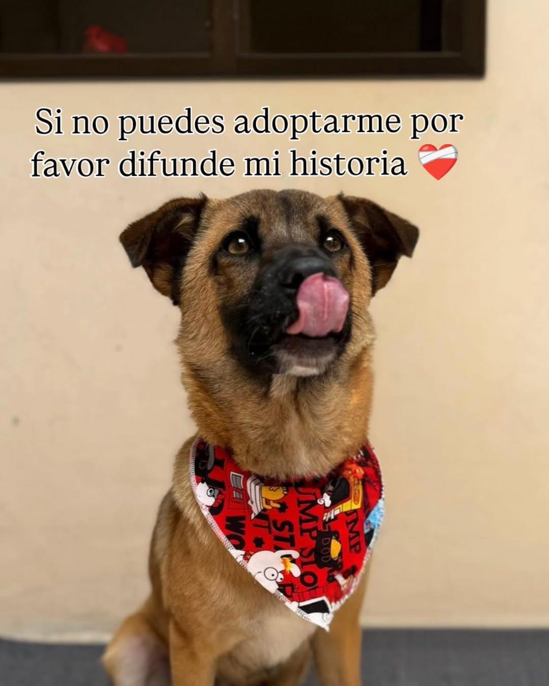 Juancho (7/7)