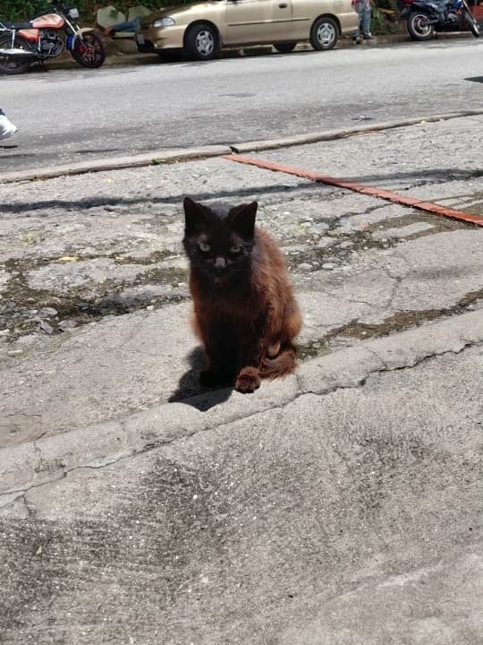 Lina Bonita, Atenas (9/11)