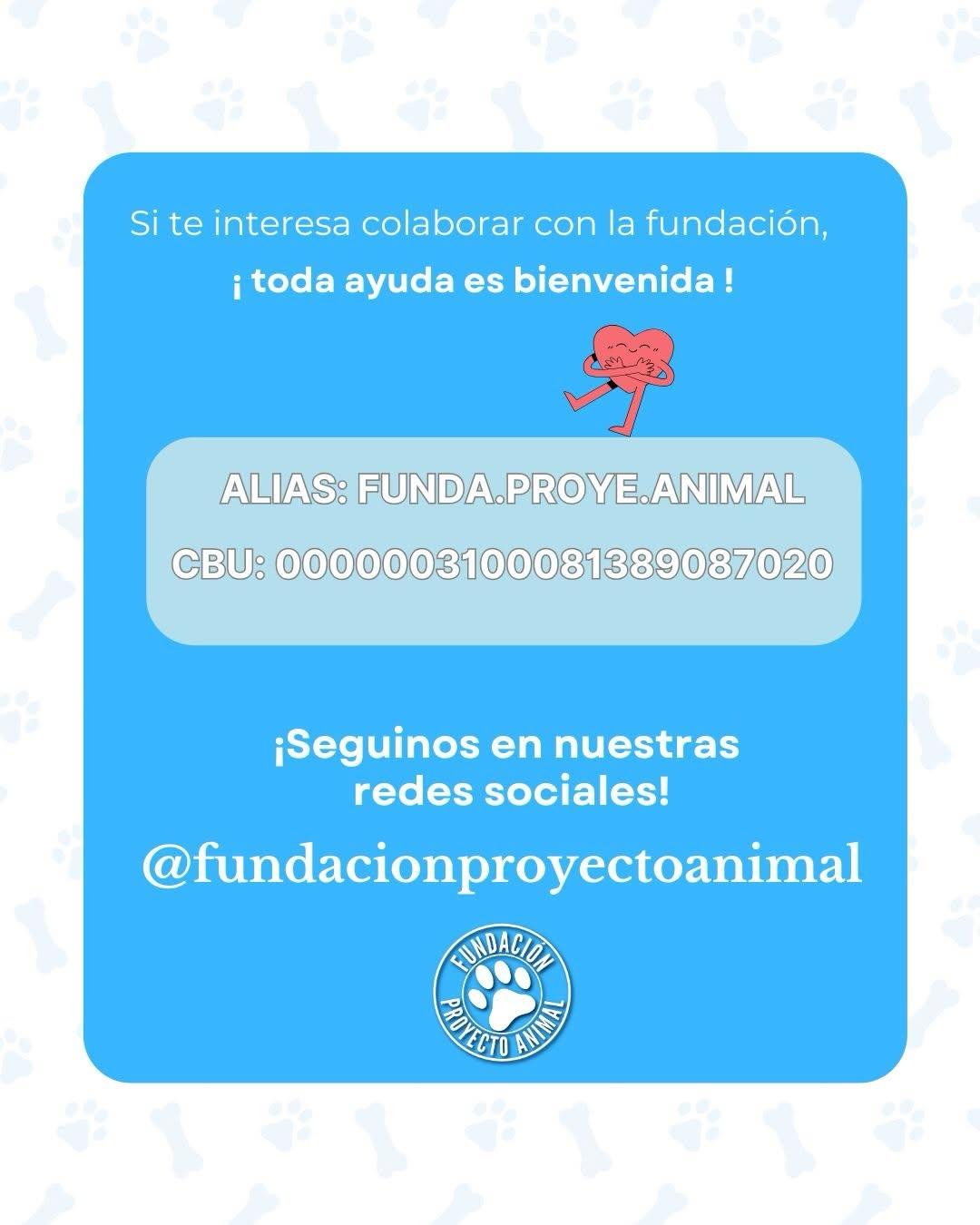 Picapiedra (5/5)