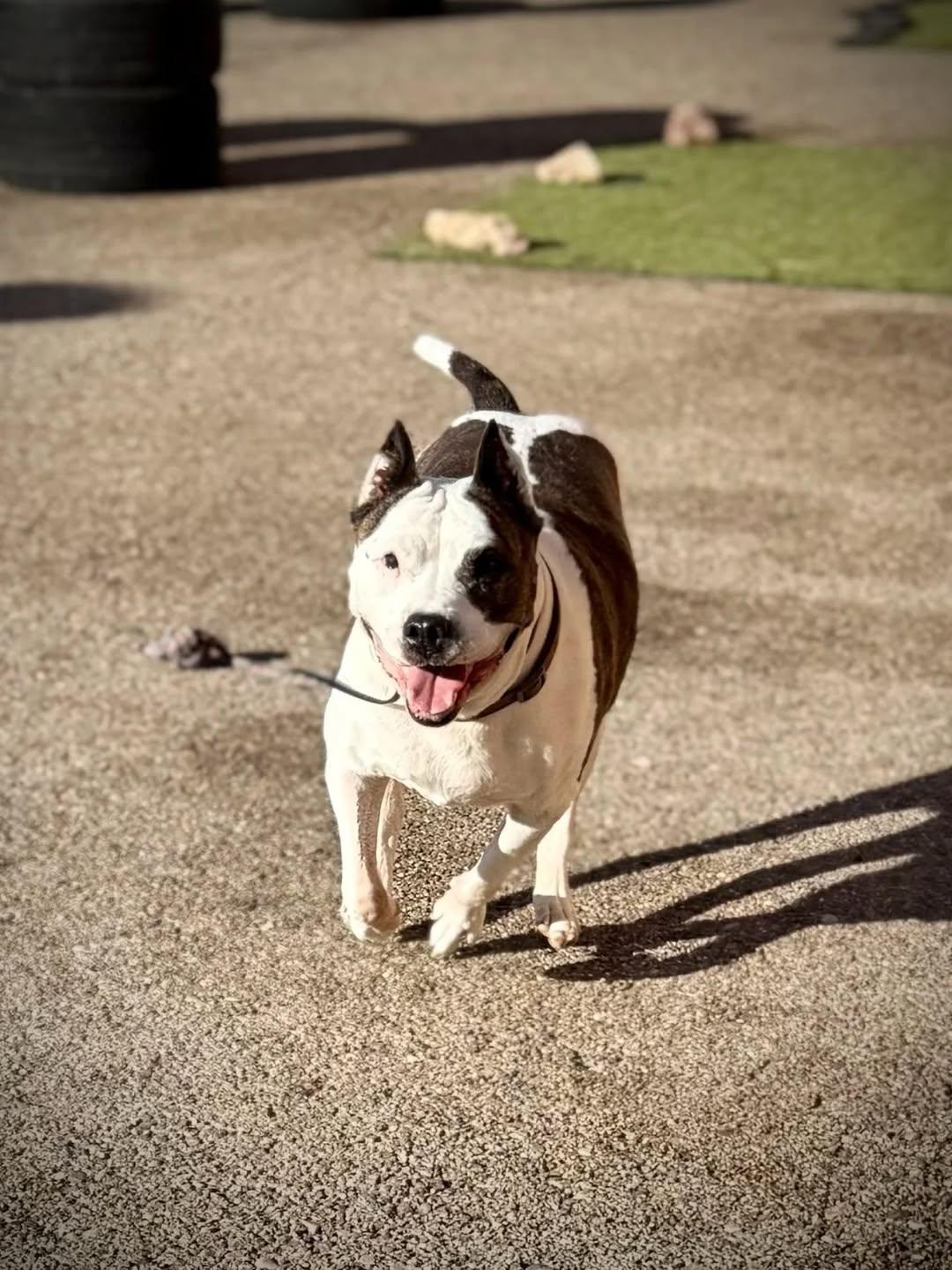 Xena (7/20)