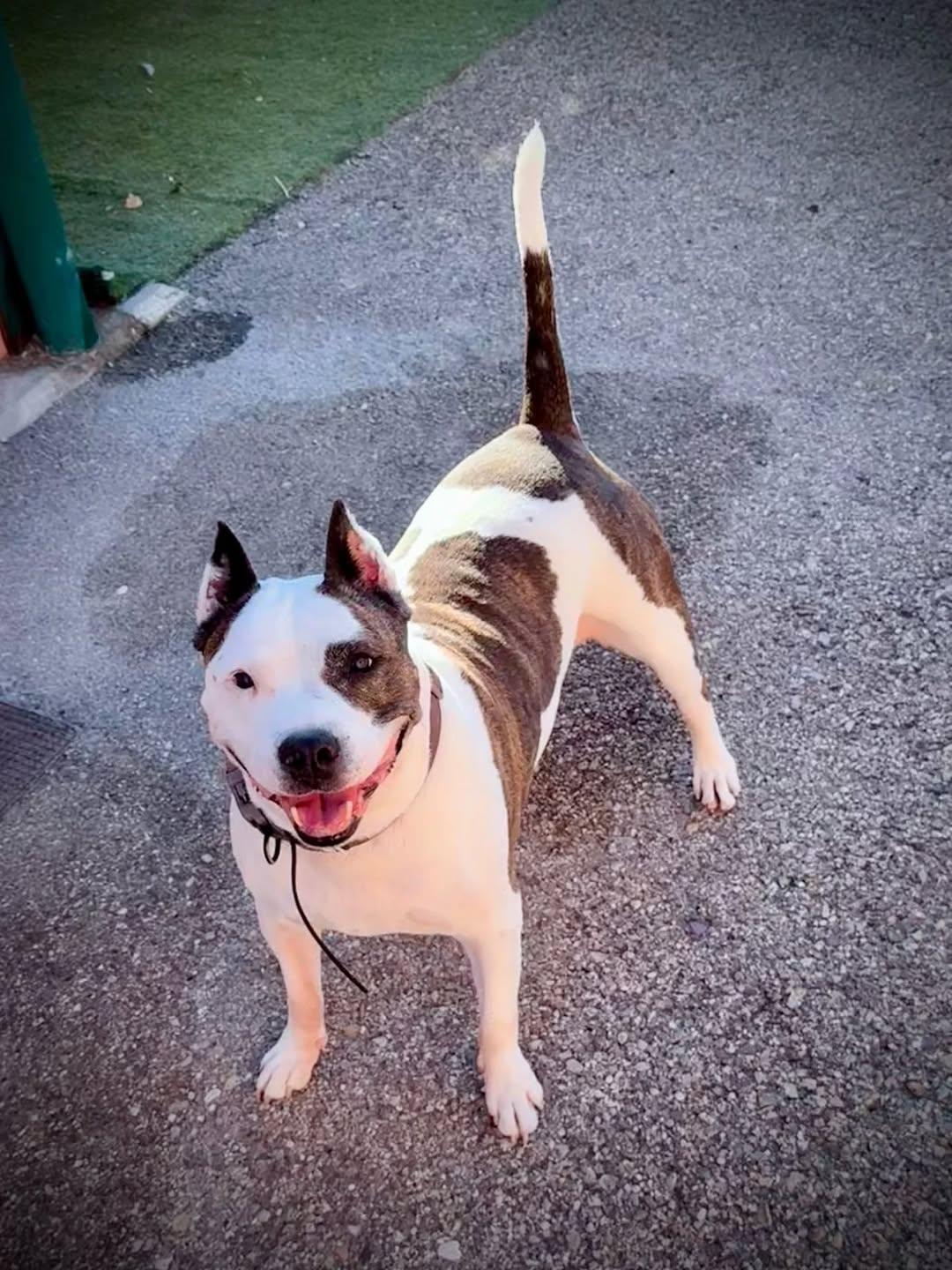 Xena (9/20)