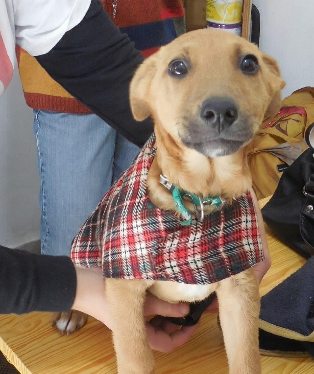 Kiwi (10/10)