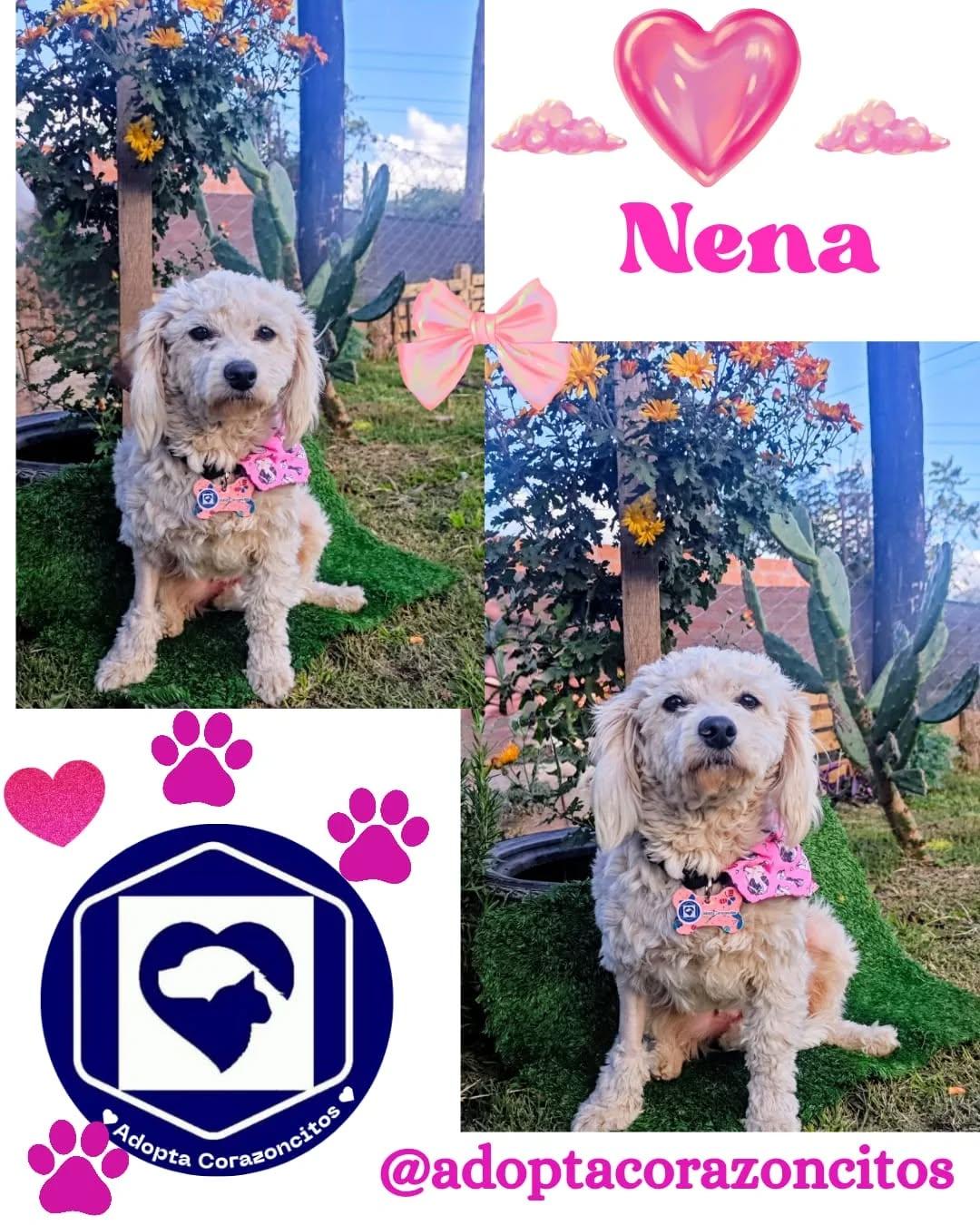 Nena