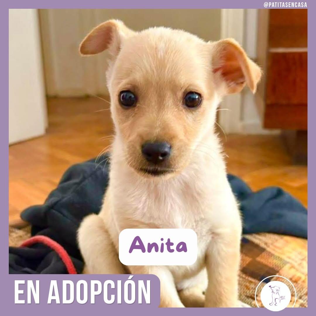 Anita (1/2)