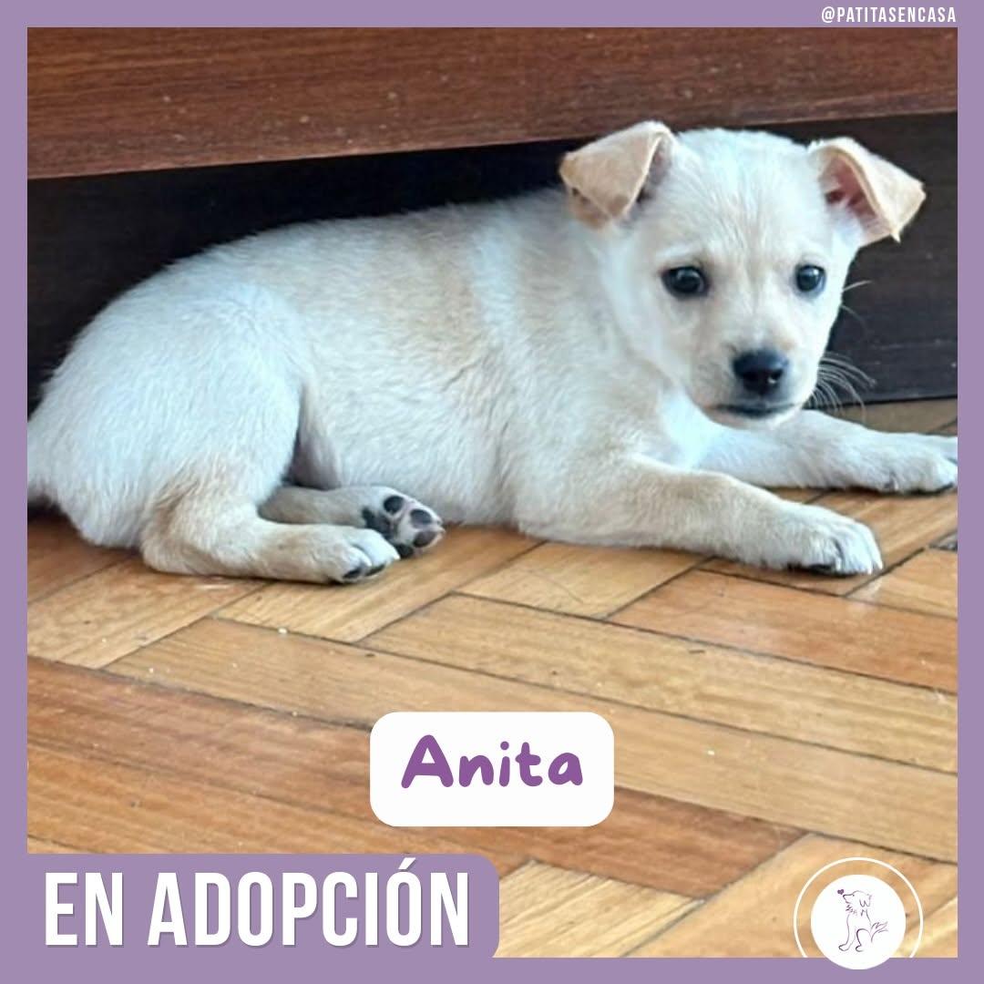 Anita (2/2)