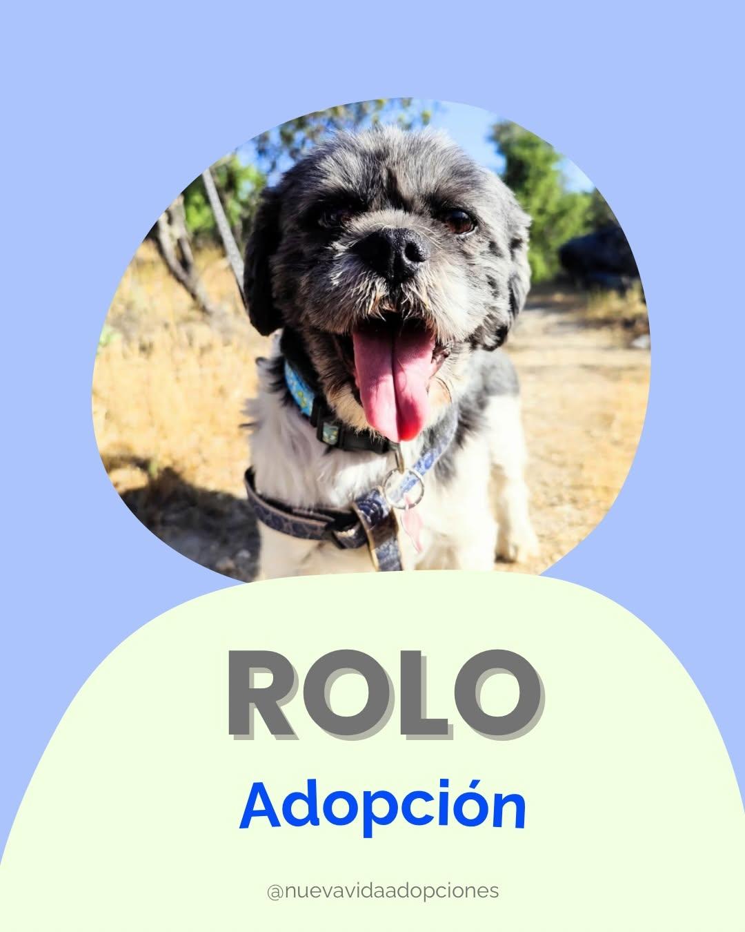 ROLO (1/4)